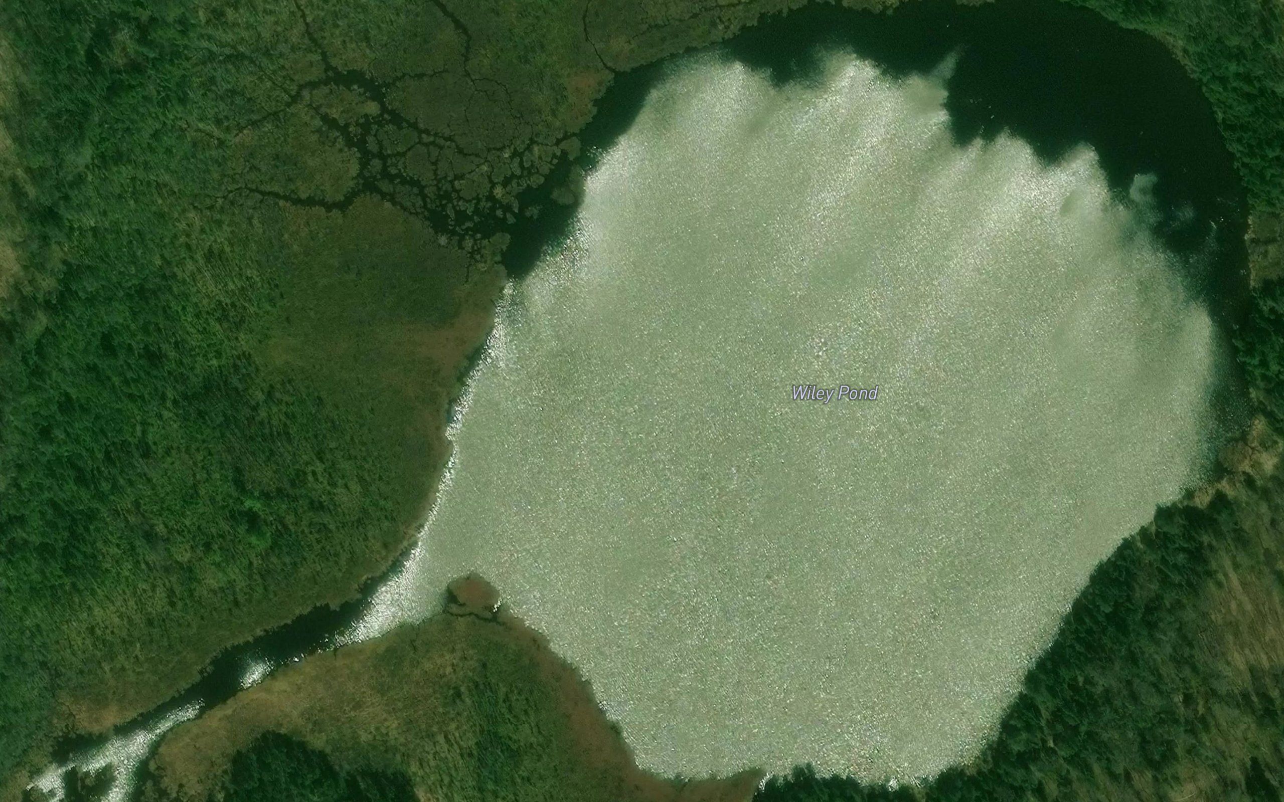 Wiley Pond