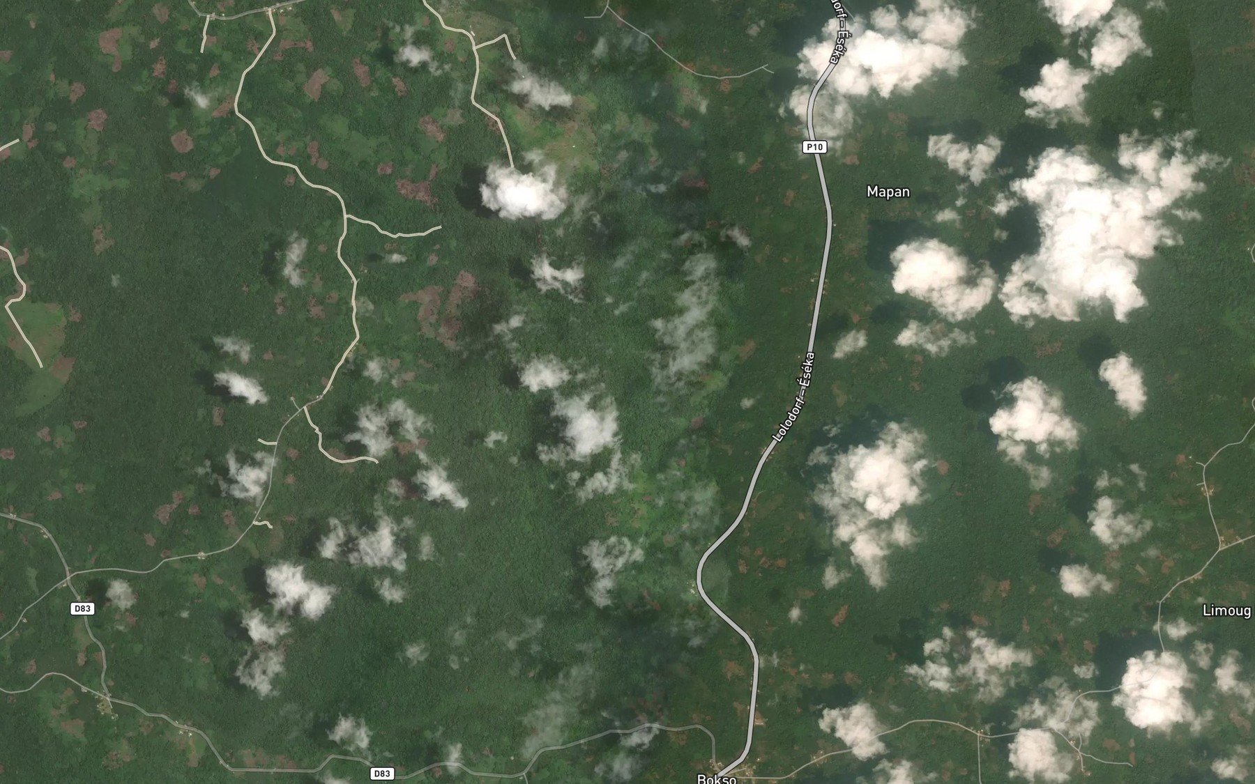 Satellite map of the Petite Mouanda
