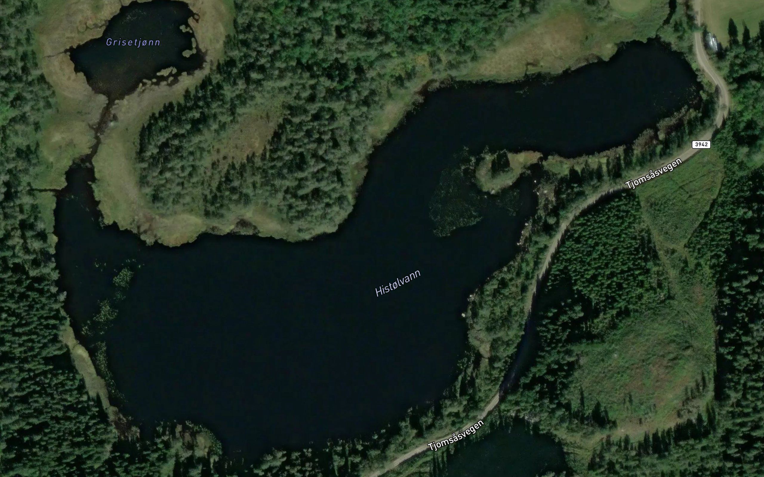 Histolvann
