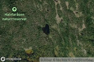 Trytetjern