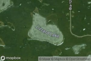 Lizzard Lake
