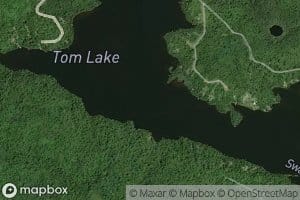 Tom Lake
