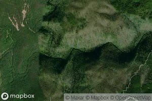 Patterson Pond Branch