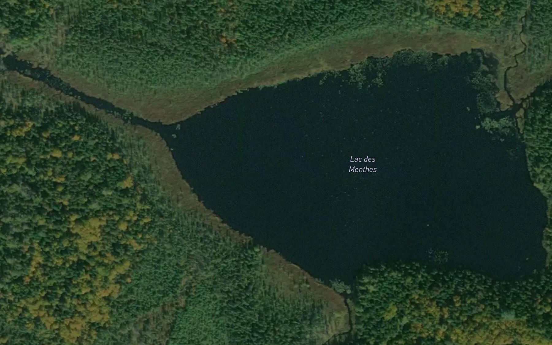 Satellite map of the Lac des Menthes