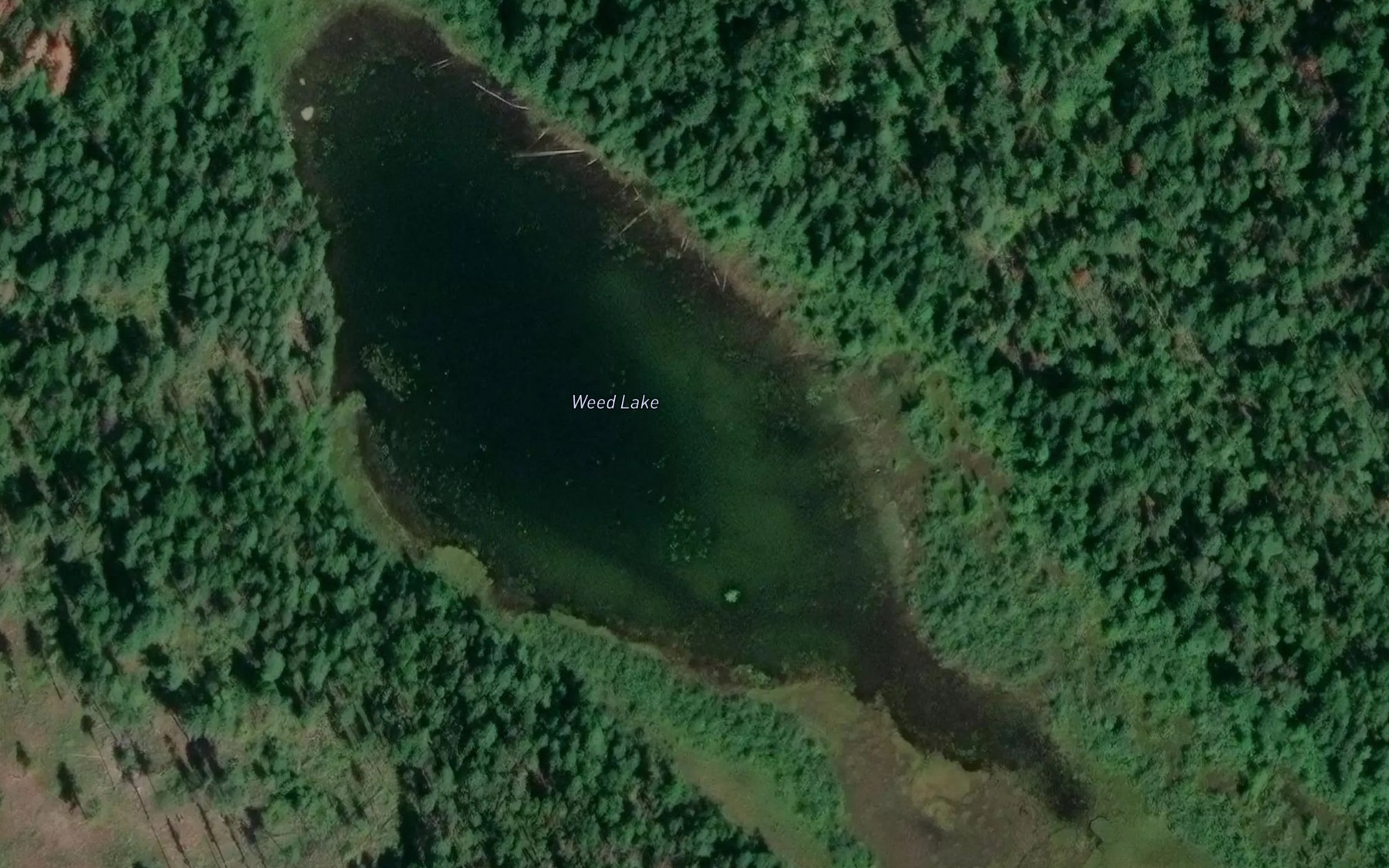 Satellite map of the Weed Lake