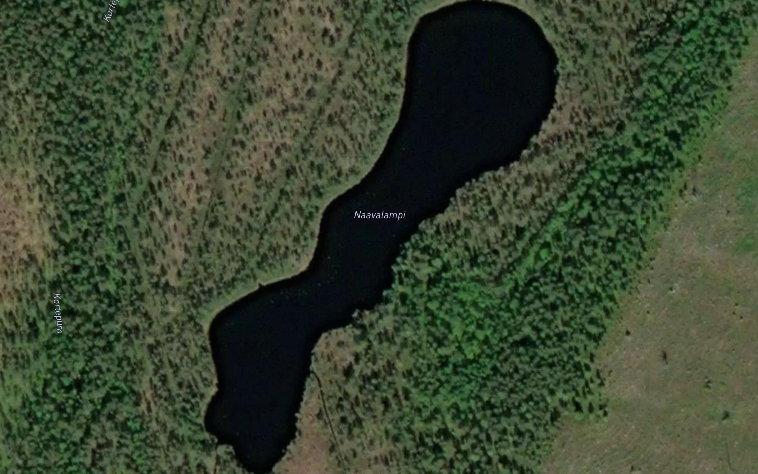 Naavalampi