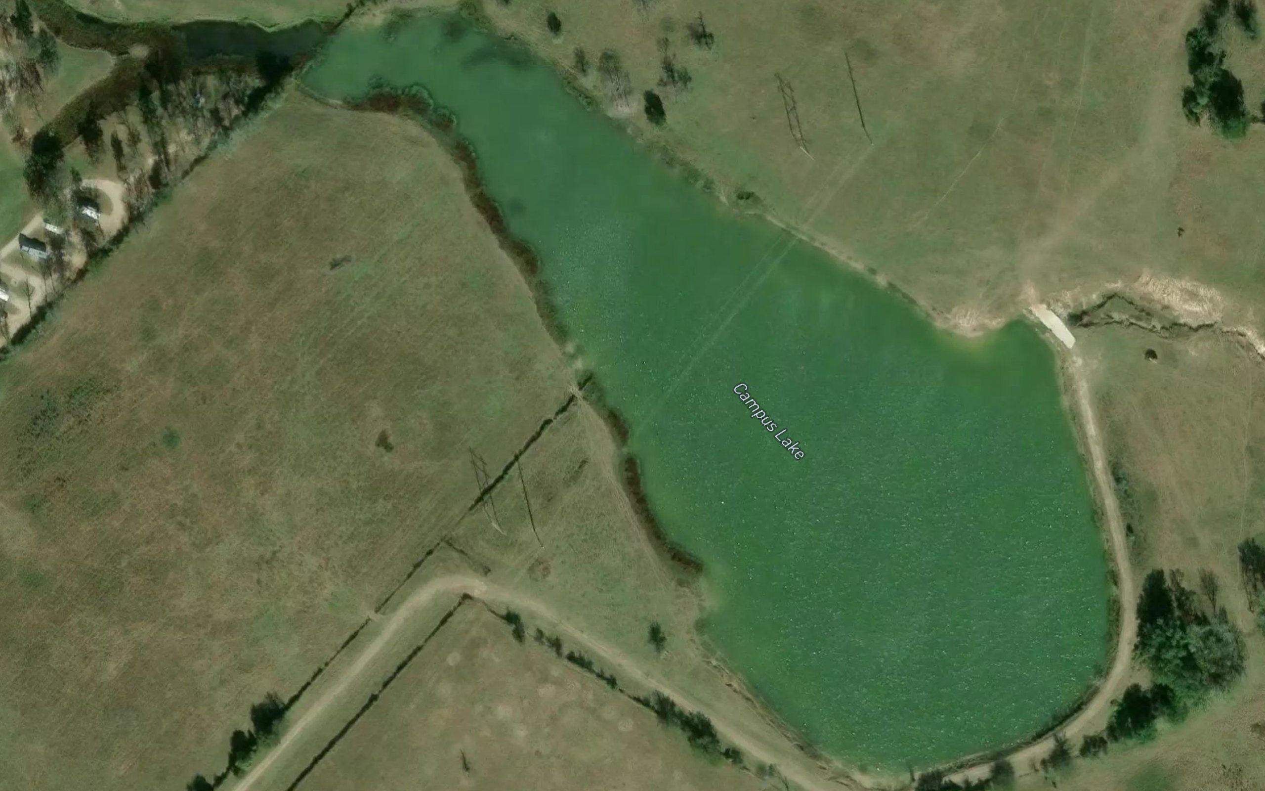 Campus Lake