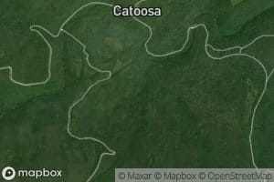 Big Branch