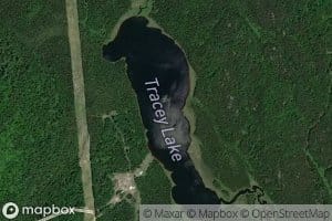 Tracey Lake