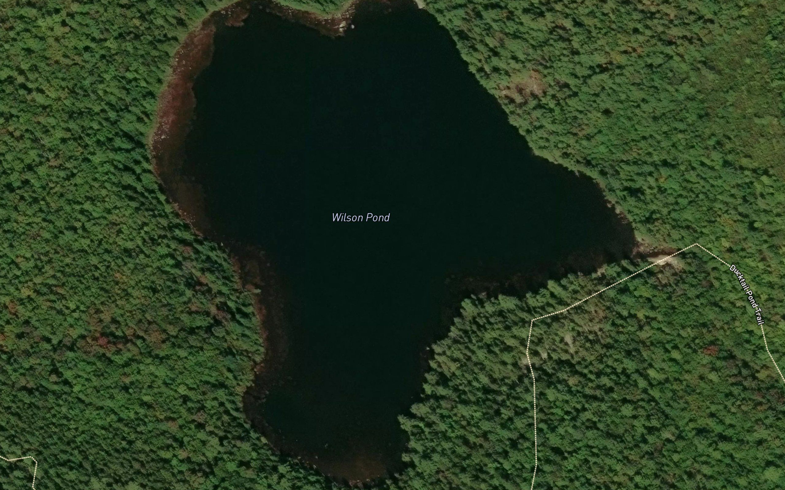 Ducktail Pond