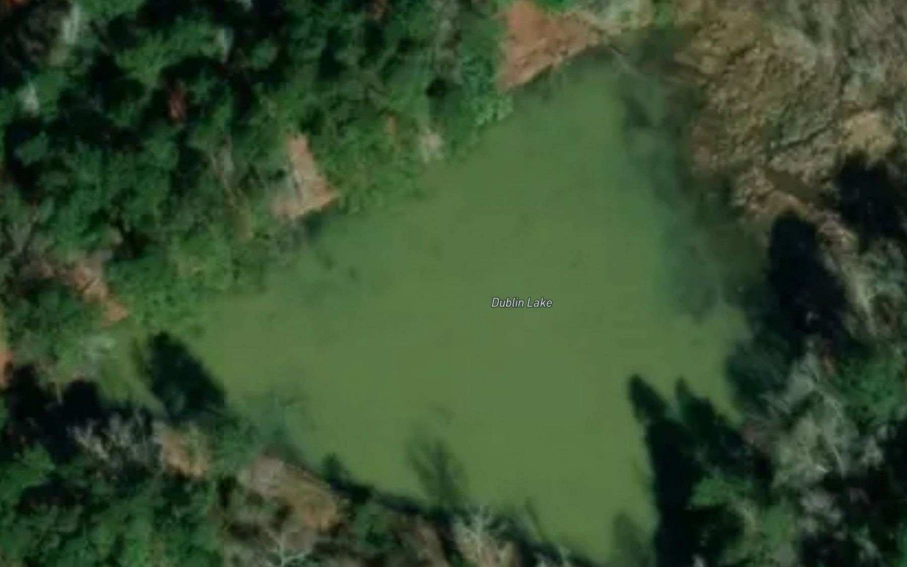 Satellite map of the Dublin Lake