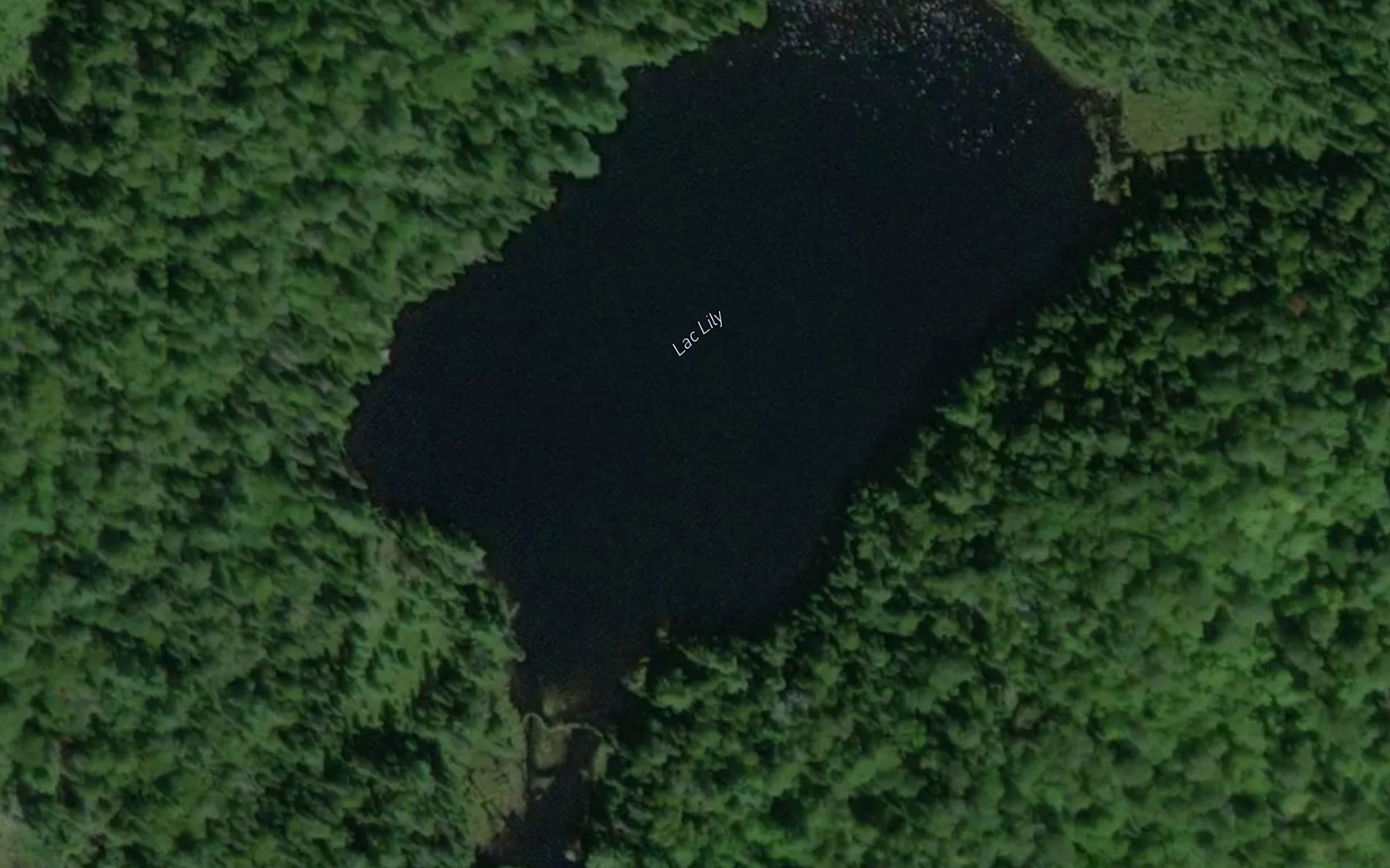 Satellite map of the Lac Lily