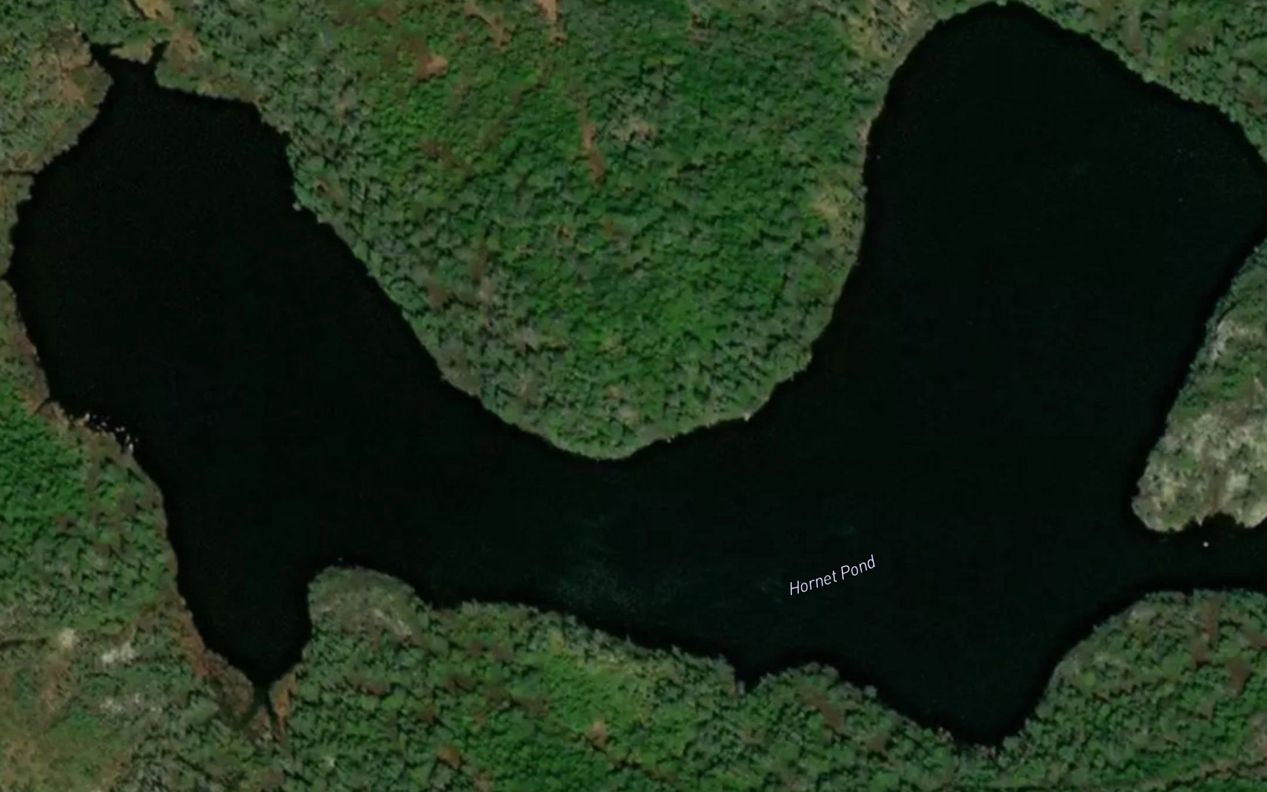 Hornet Pond