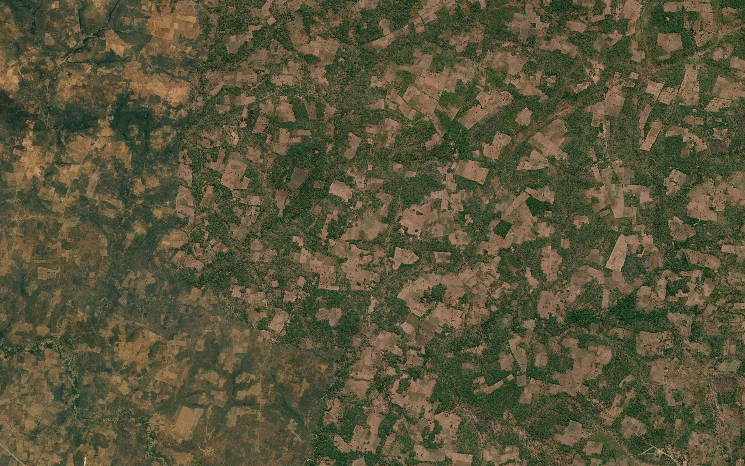 Kabendwa