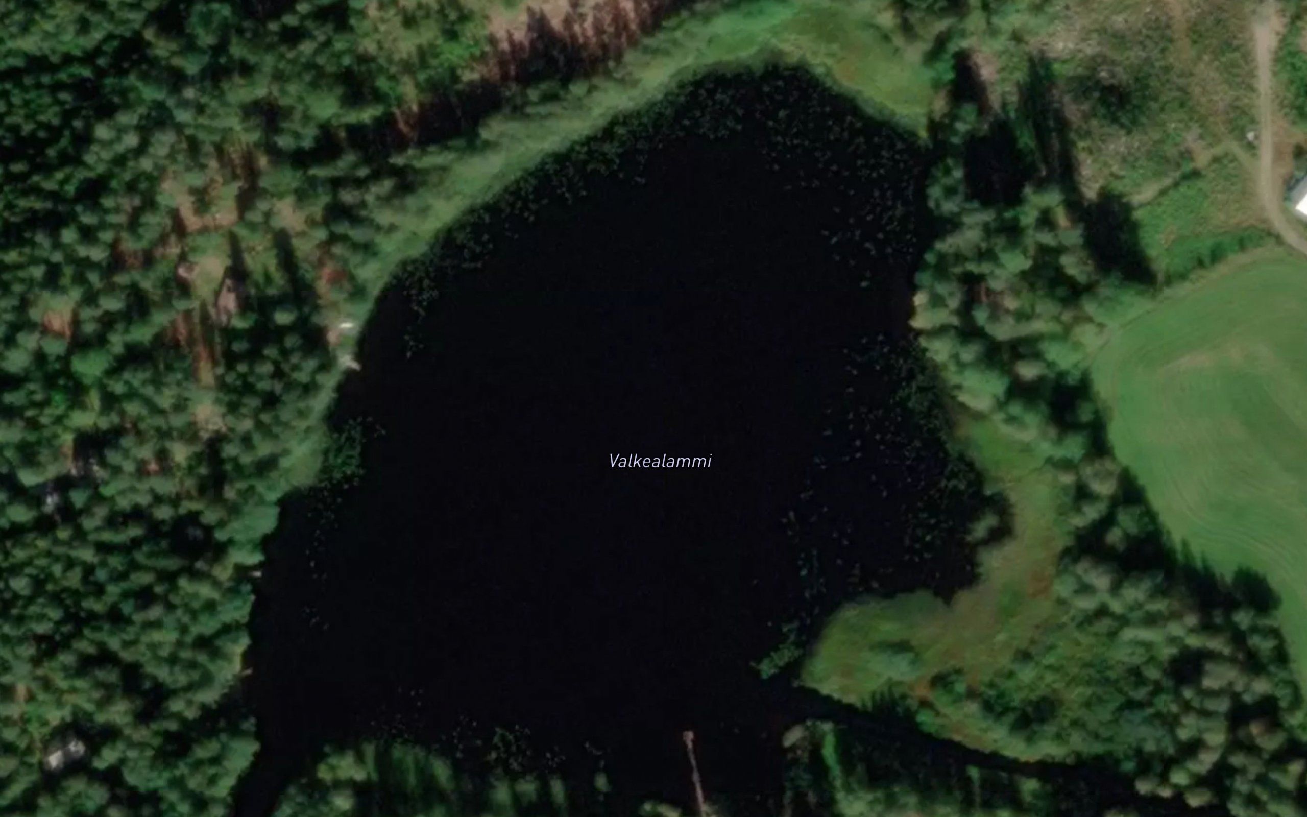 Valkealammi