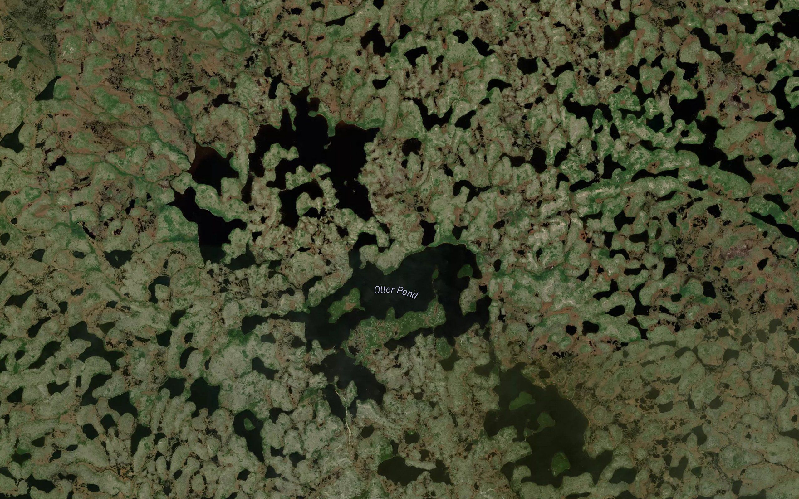 Otter Pond