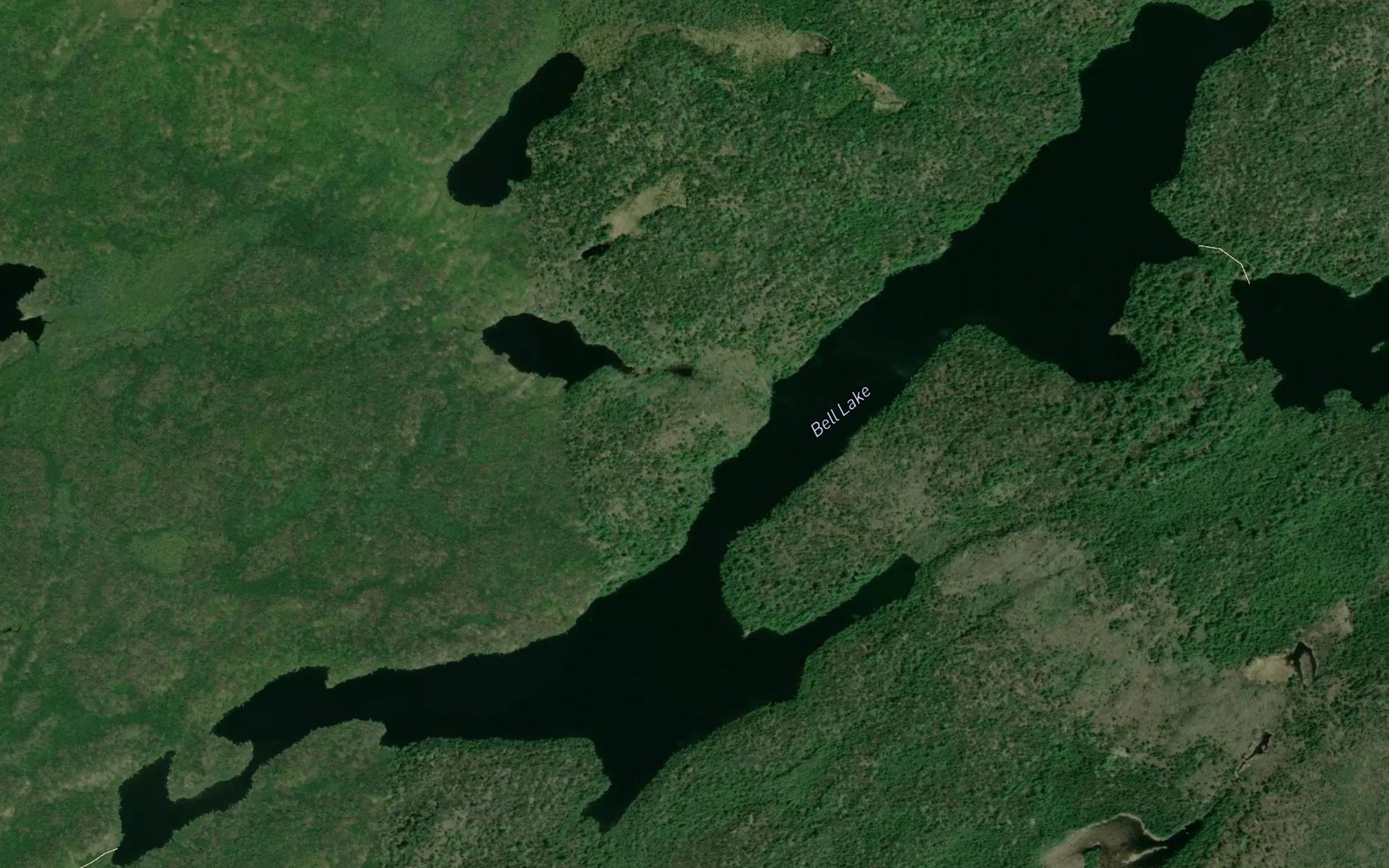 Satellite map of the Bell Lake