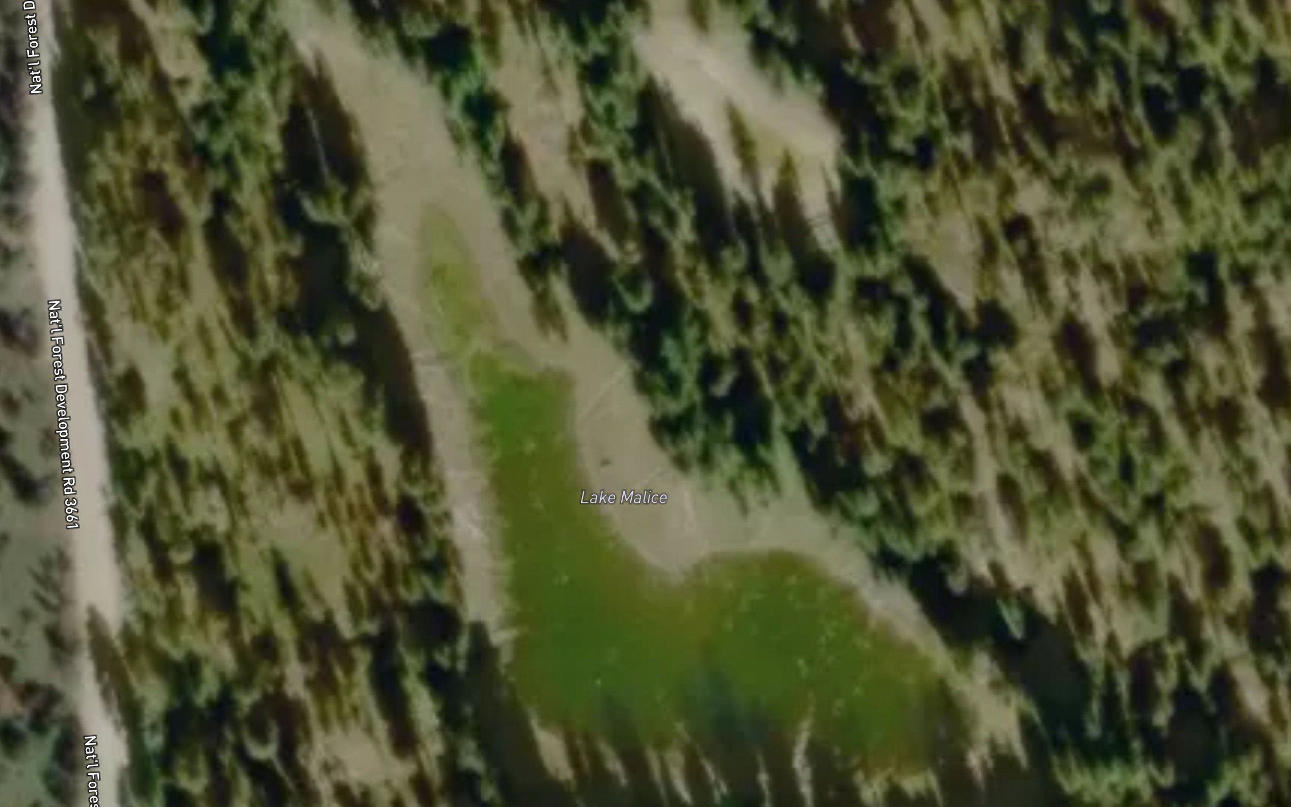 Lake Malice