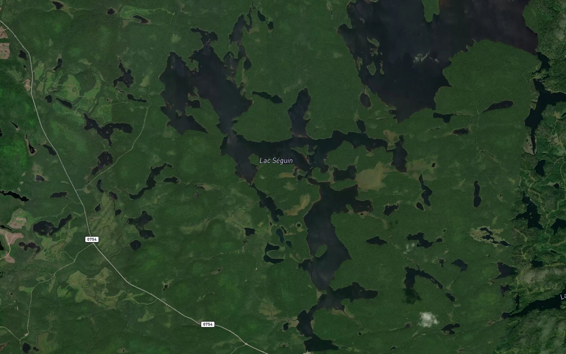 Satellite map of the Lac de la Noce d'Oiseaux