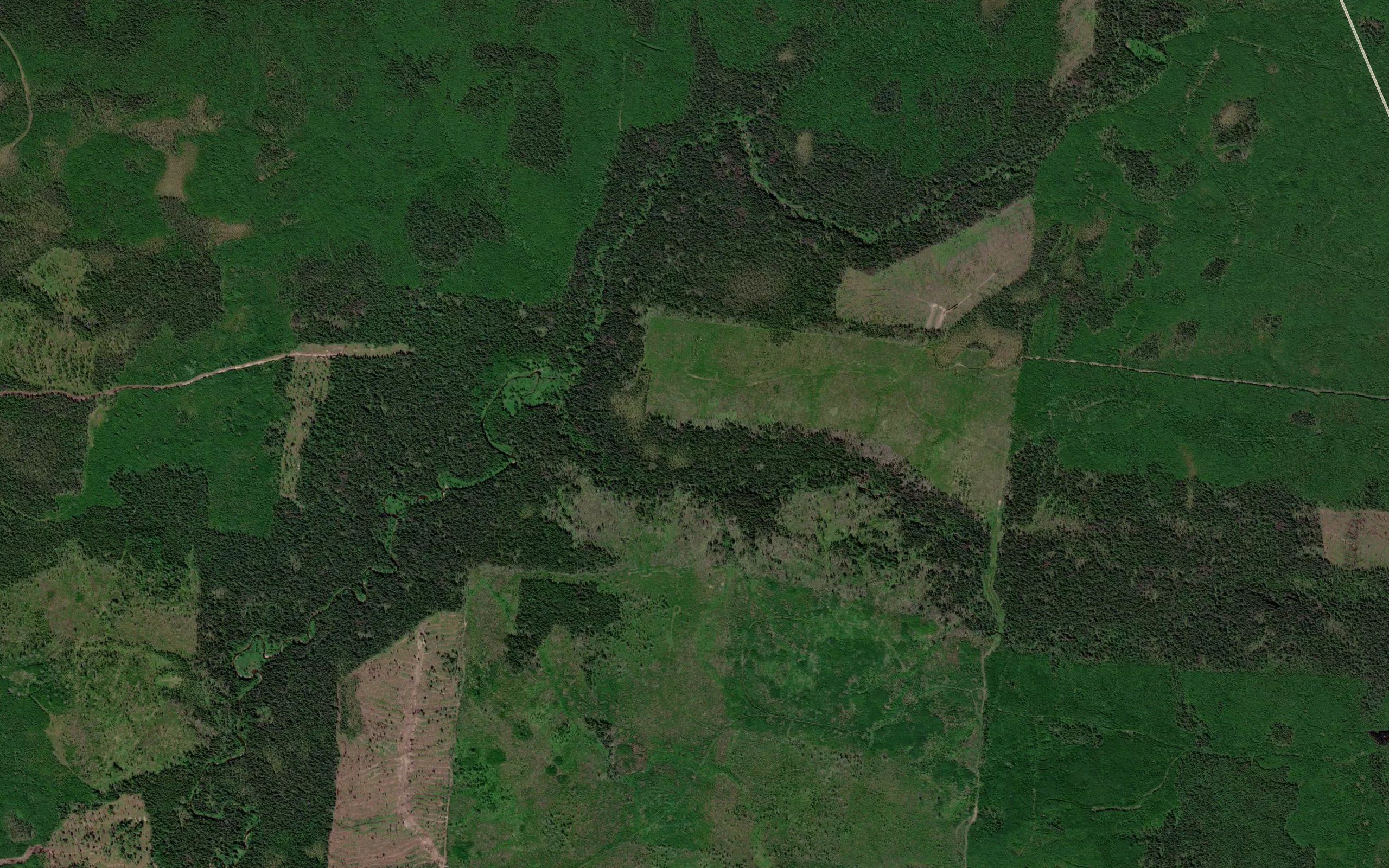 Letnyaya
