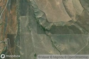 Aldrich Spring