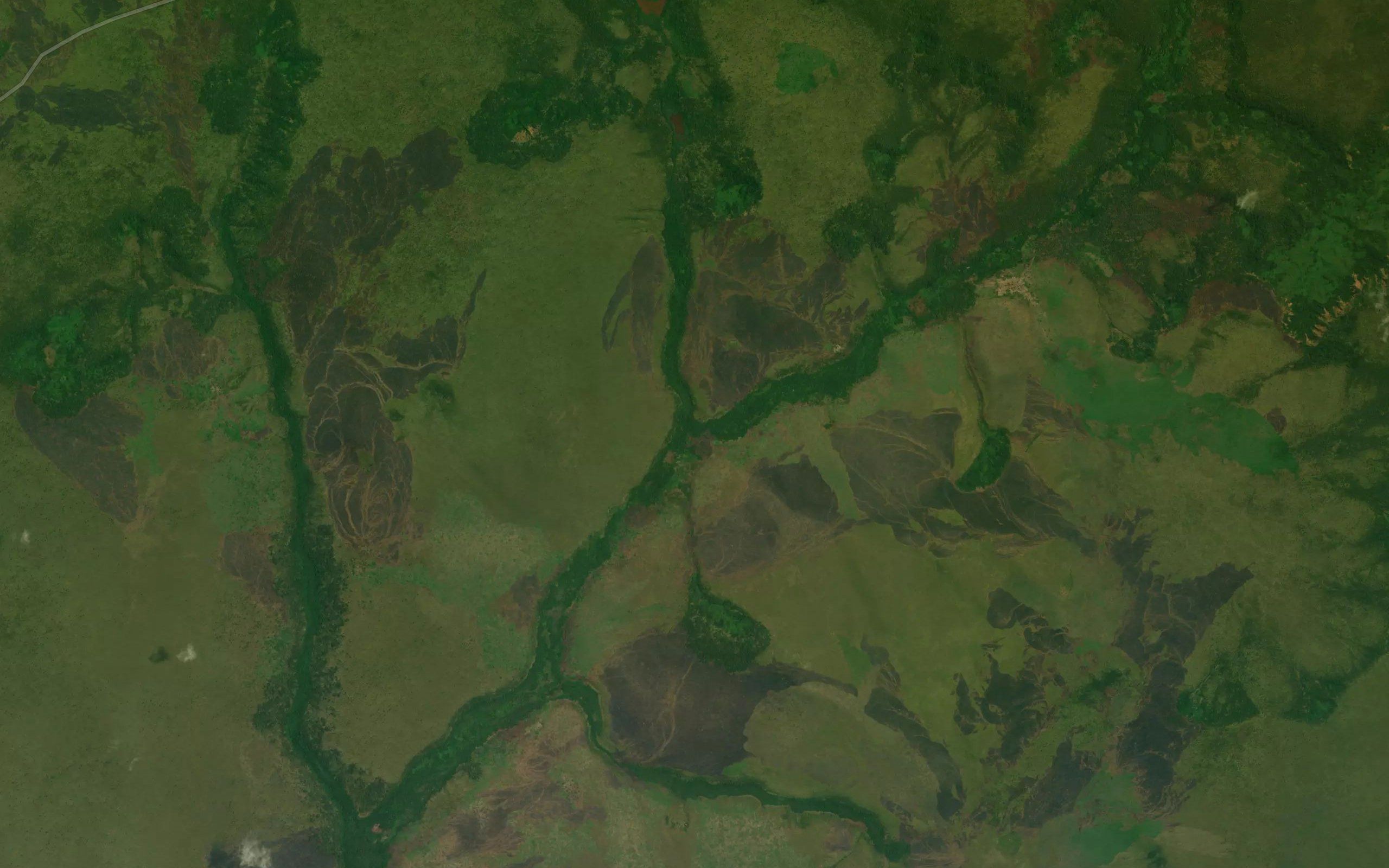 Mangula