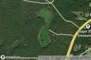 Mitchell Pond