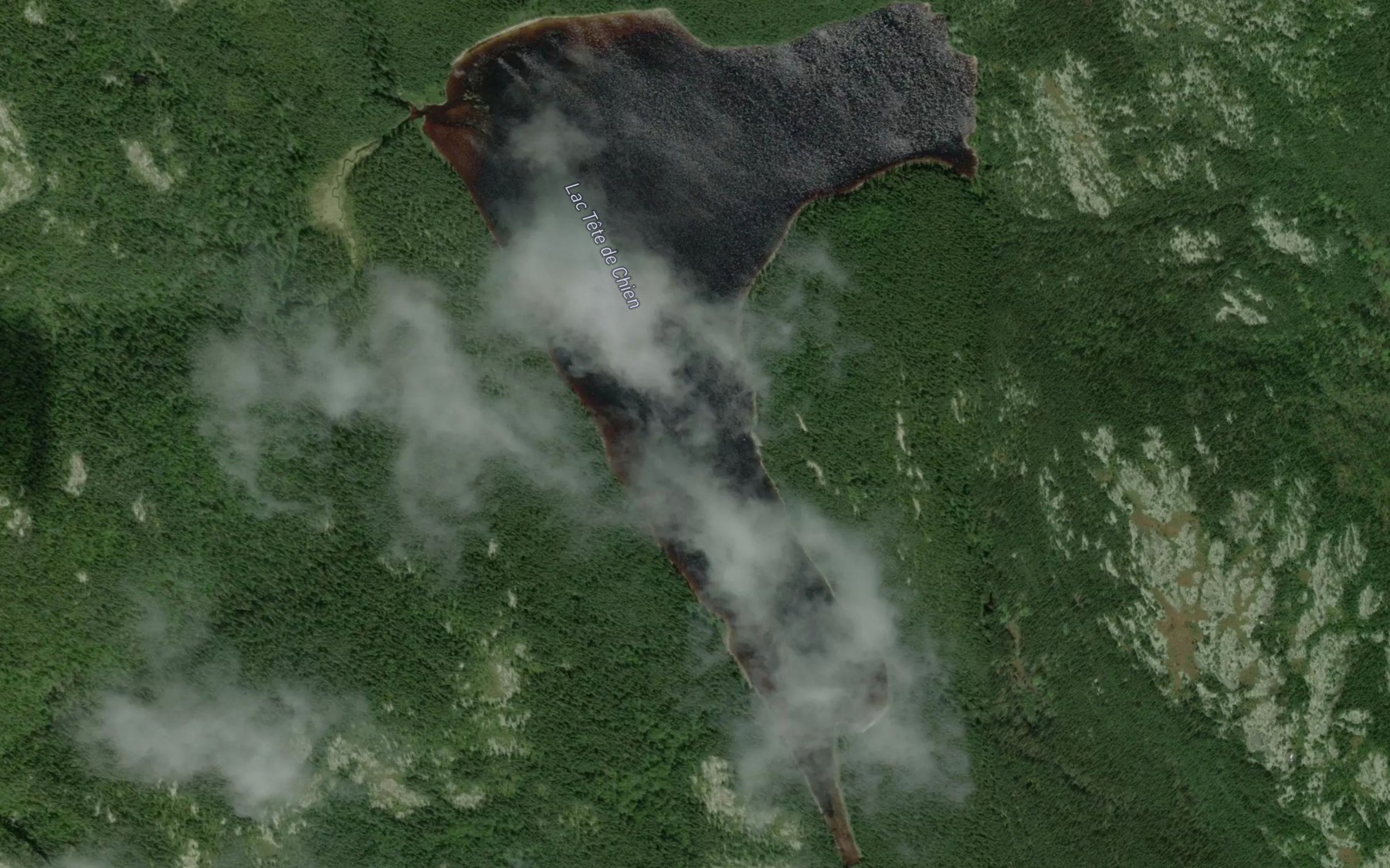 Satellite map of the Lac Tete de Chien