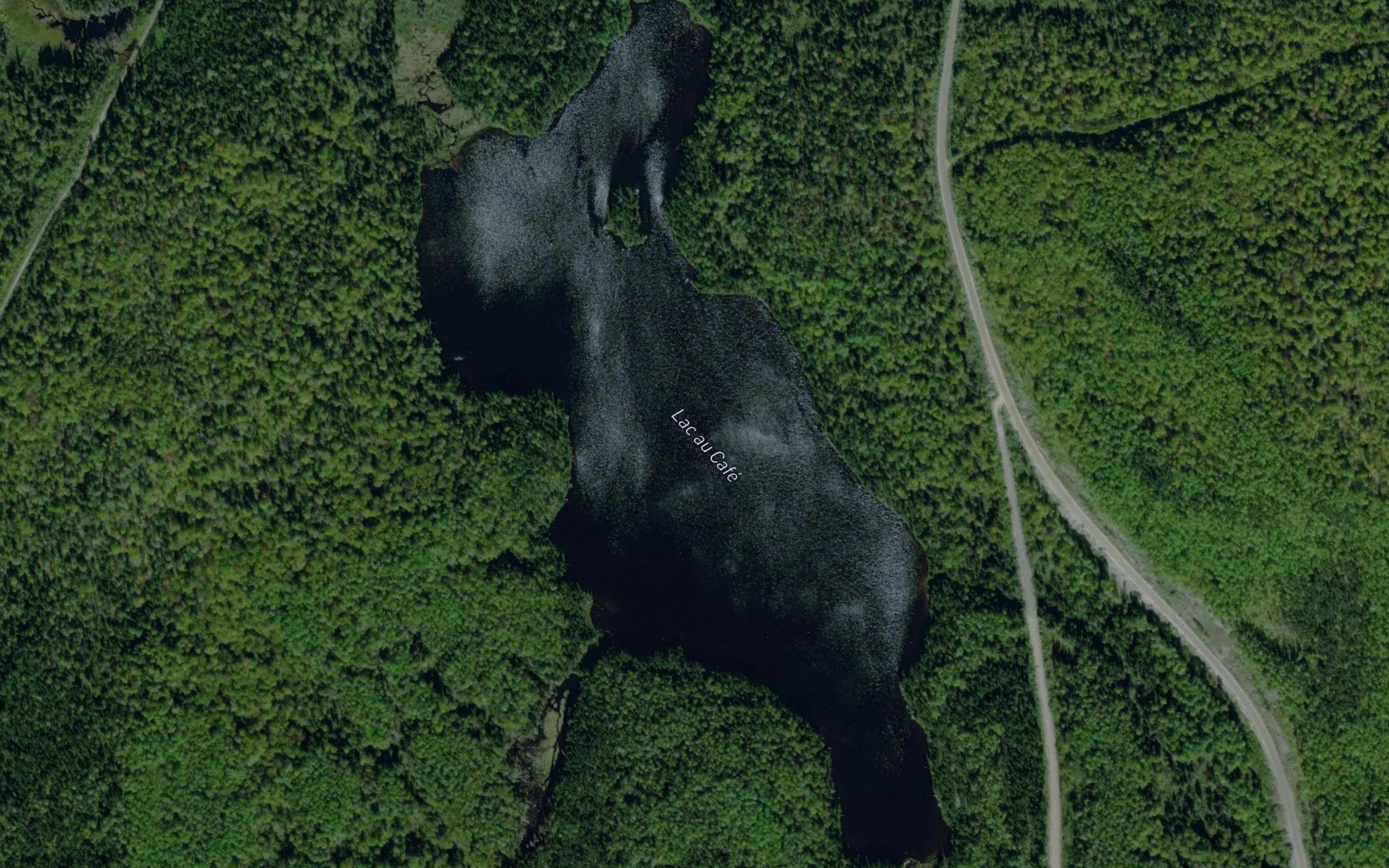 Lac au Cafe