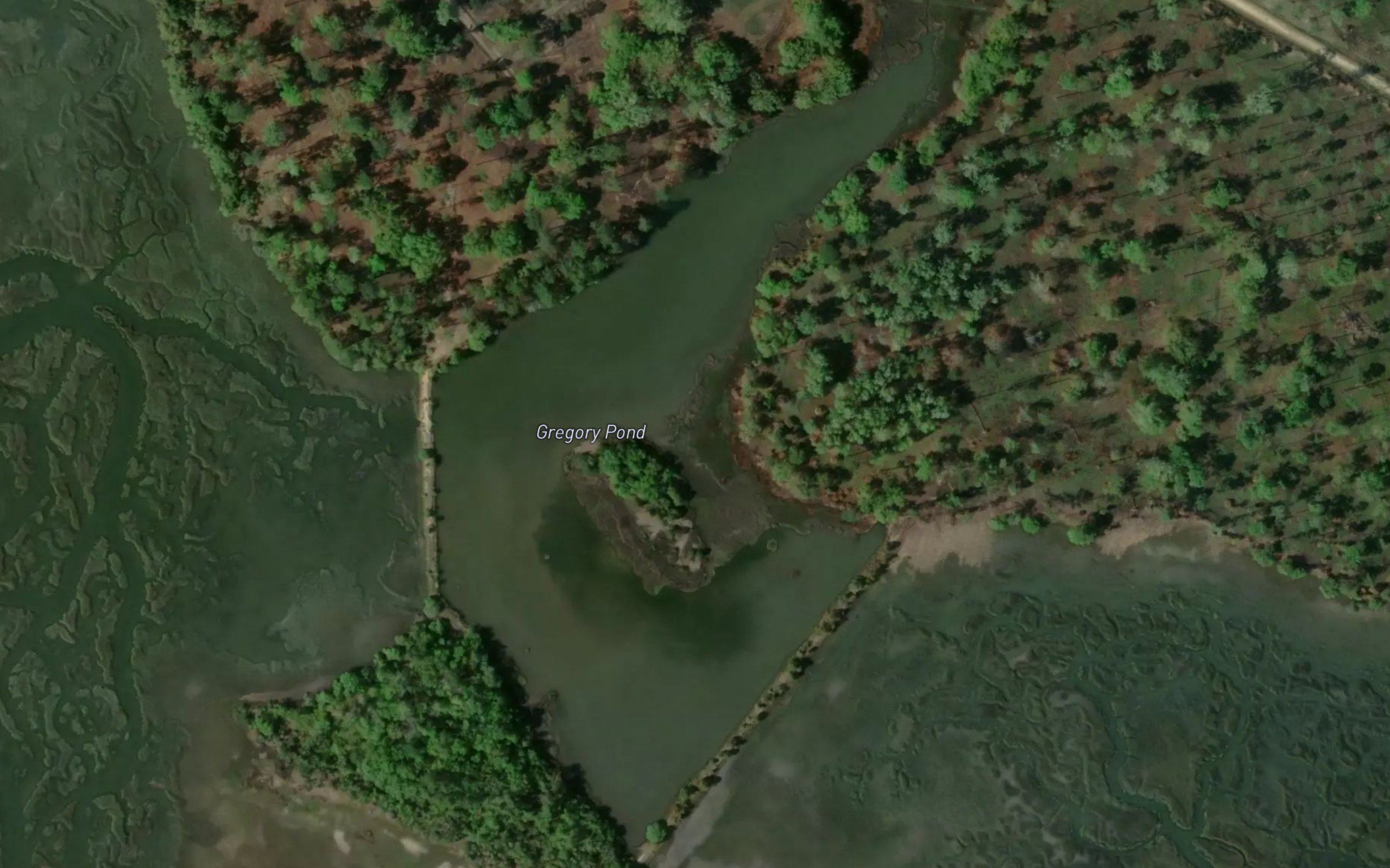 Gregory Pond