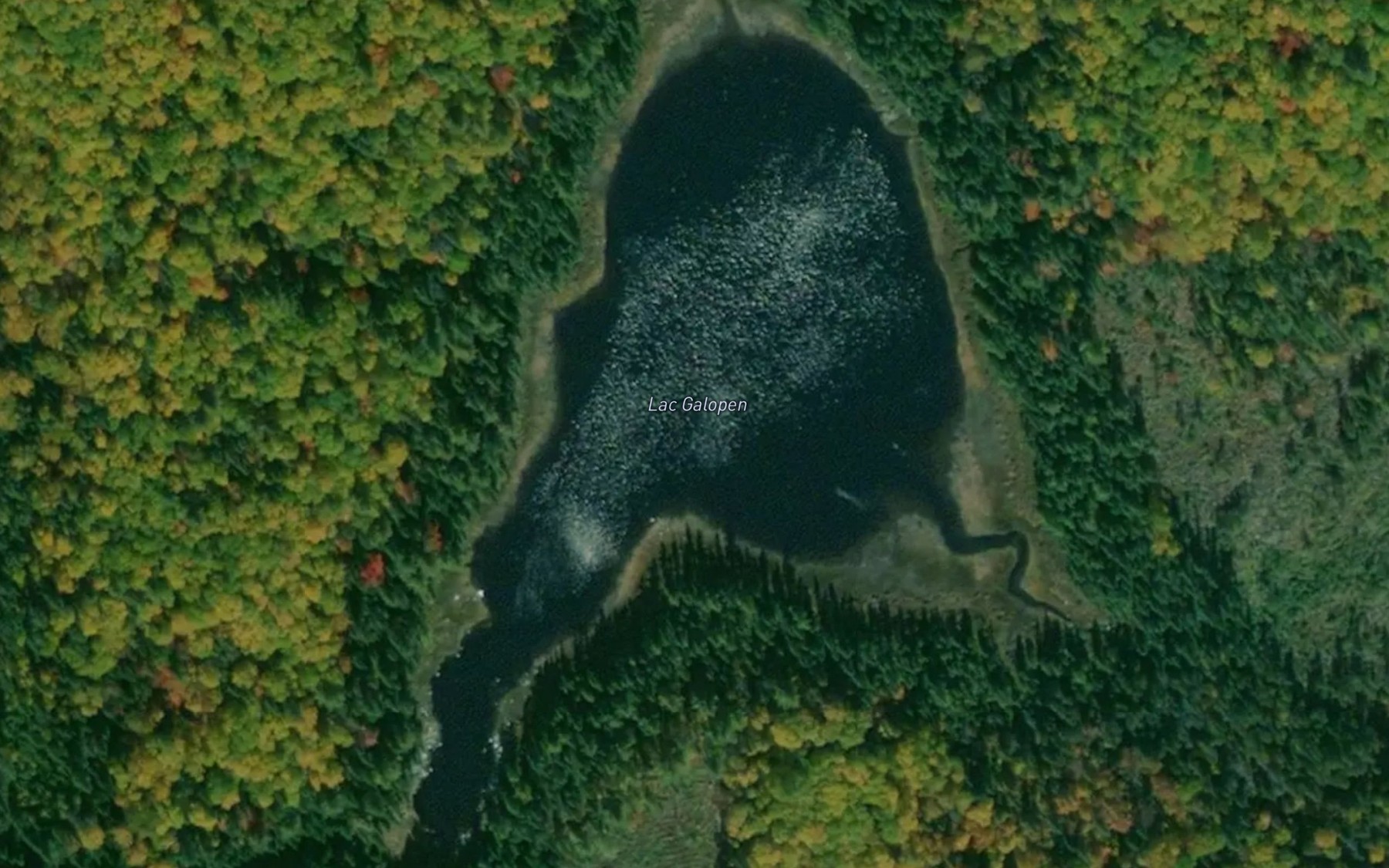 Satellite map of the Lac Galopen