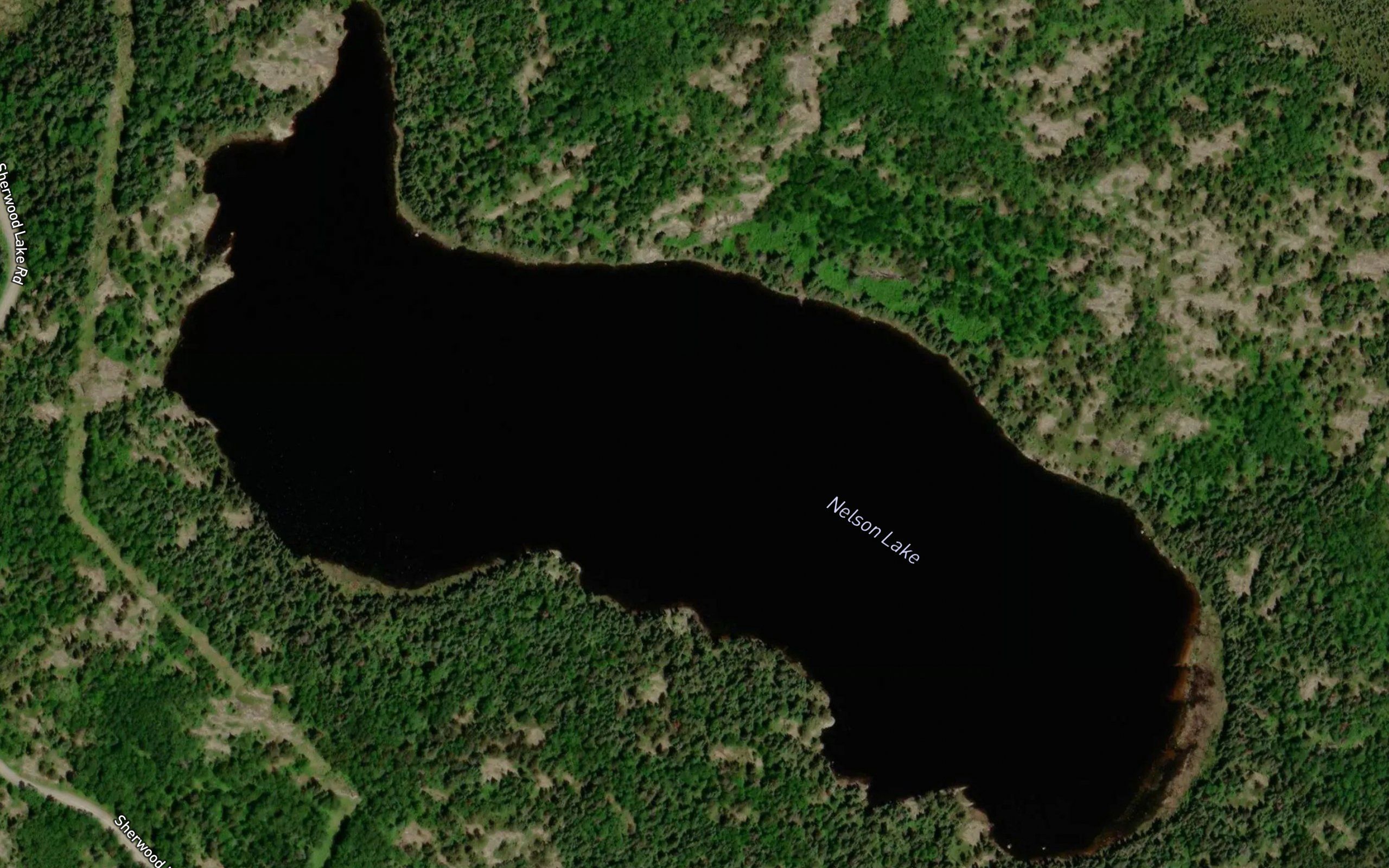 Nelson Lake