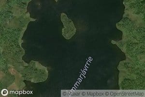 Ammerjaure