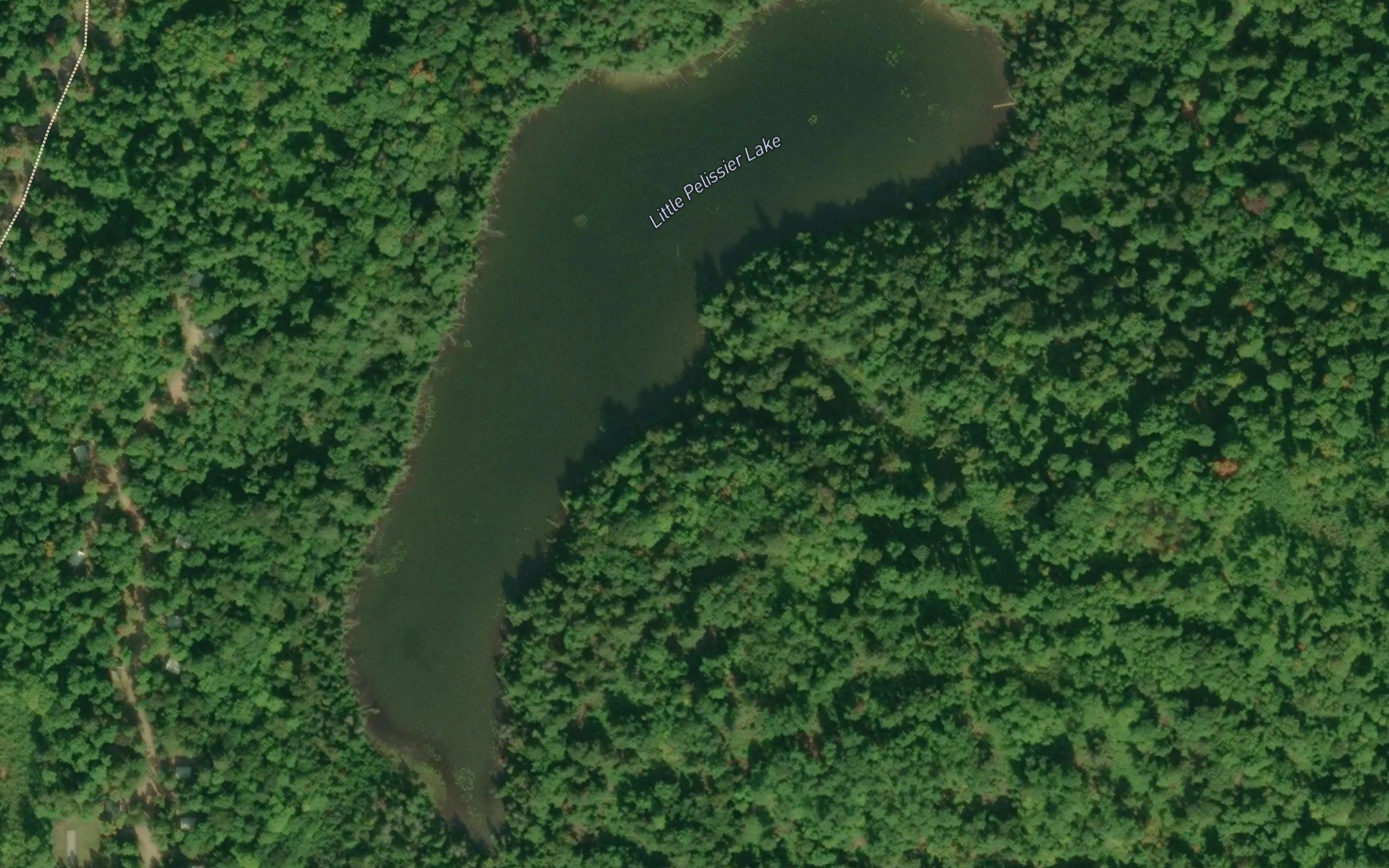 Little Pelissier Lake