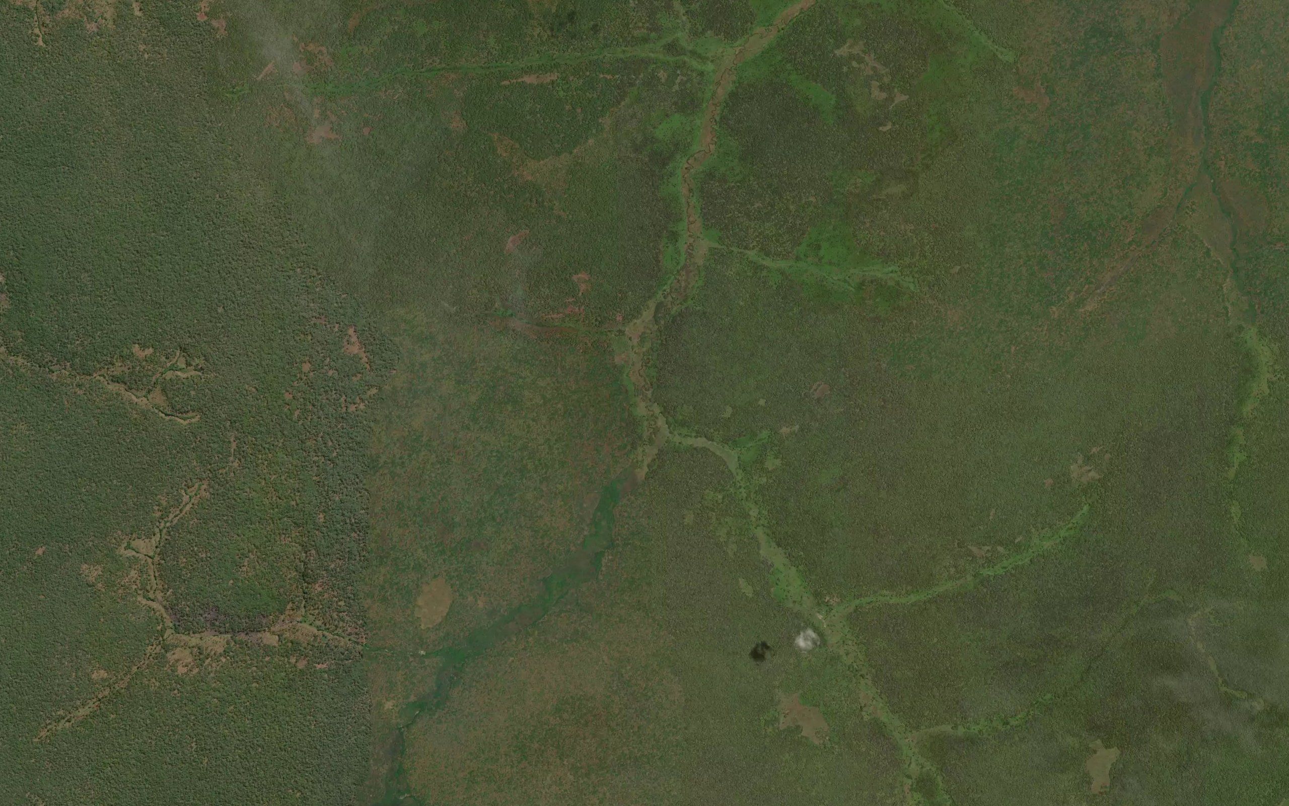 Tshihamba