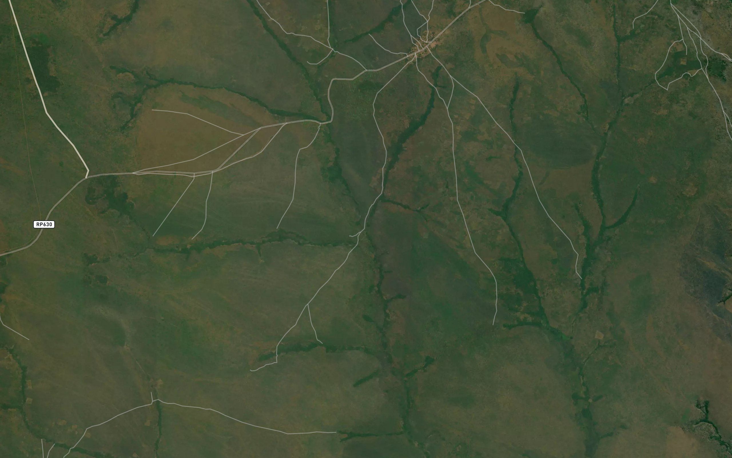 Kaleloy