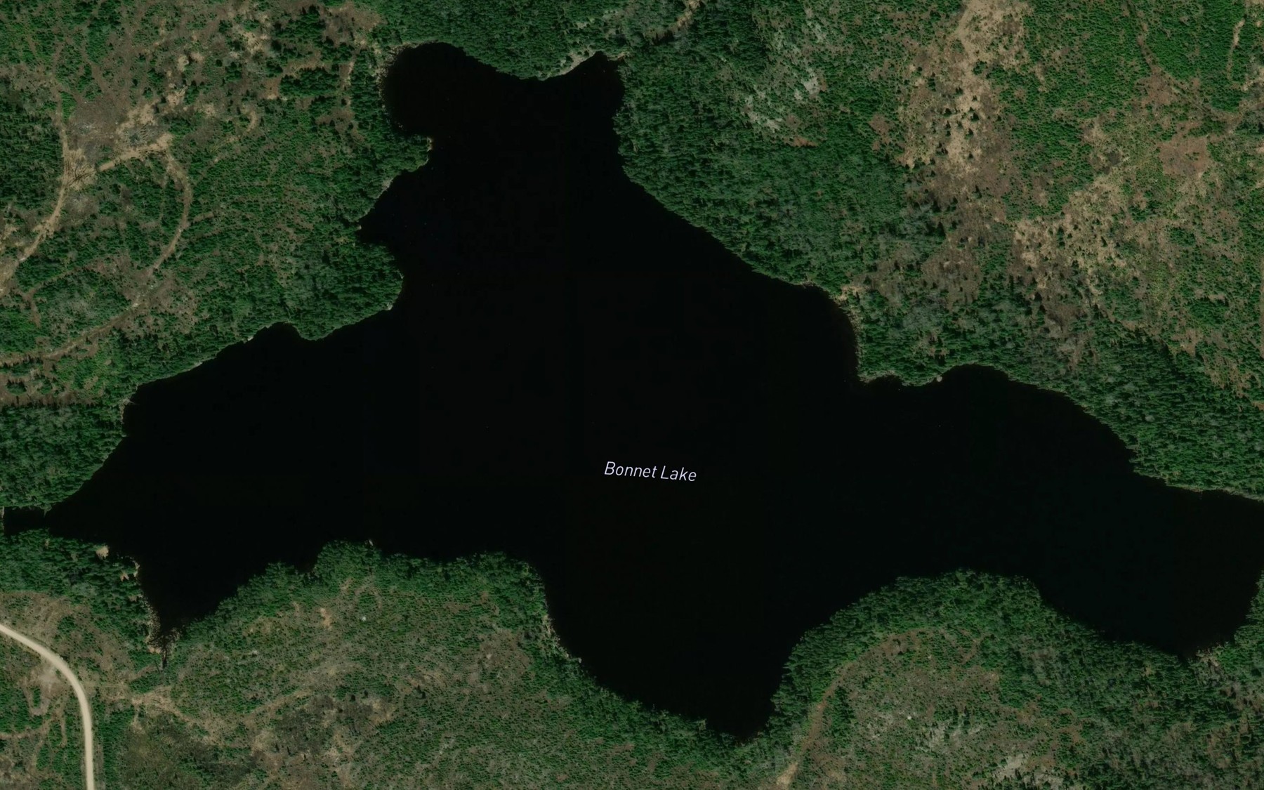 Satellite map of the Bonnet Lake