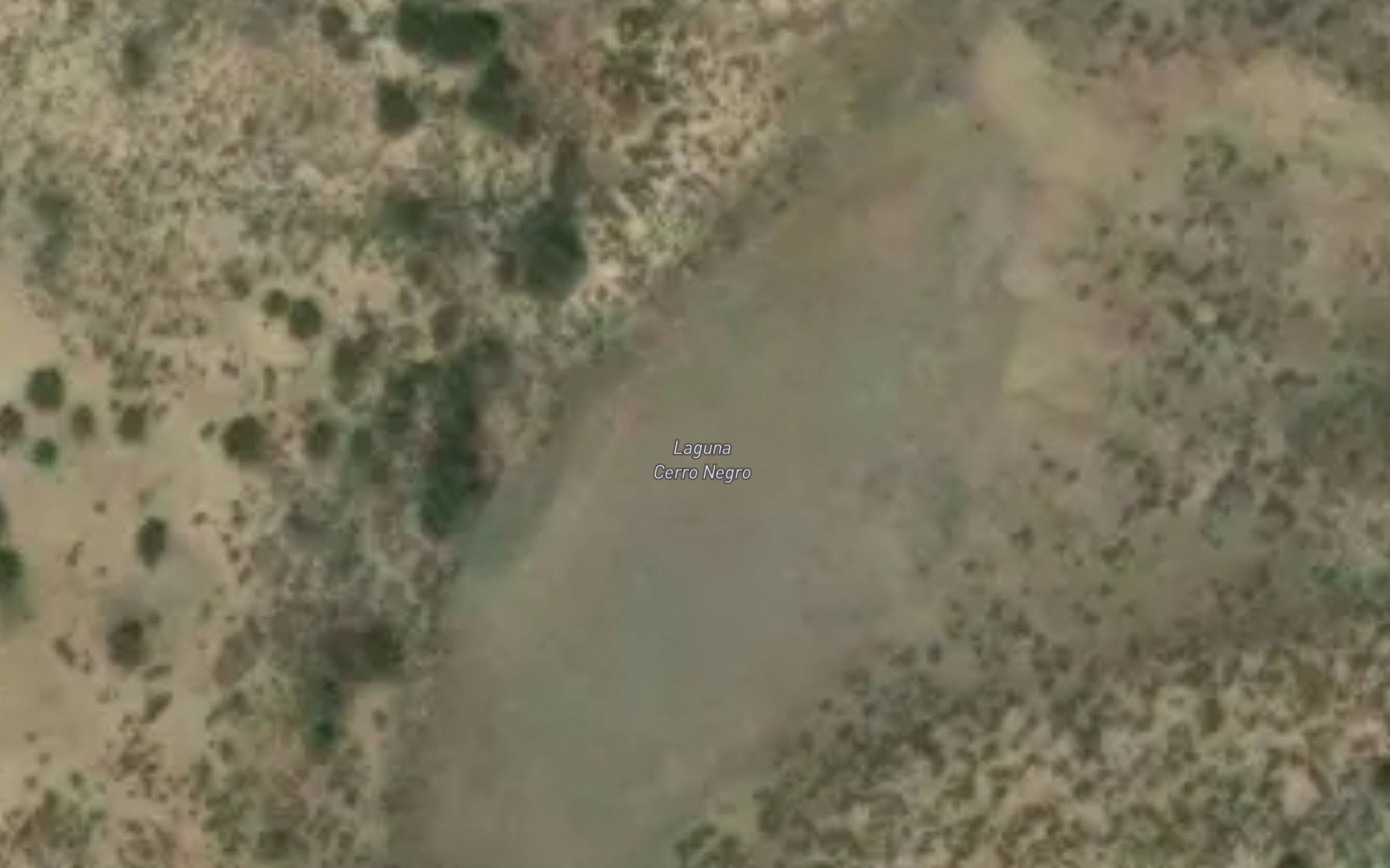 Laguna Cerro Negro