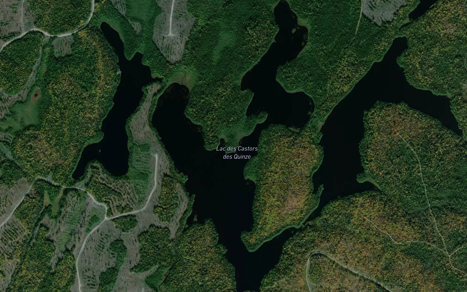 Satellite map of the Lac des Castors des Quinze