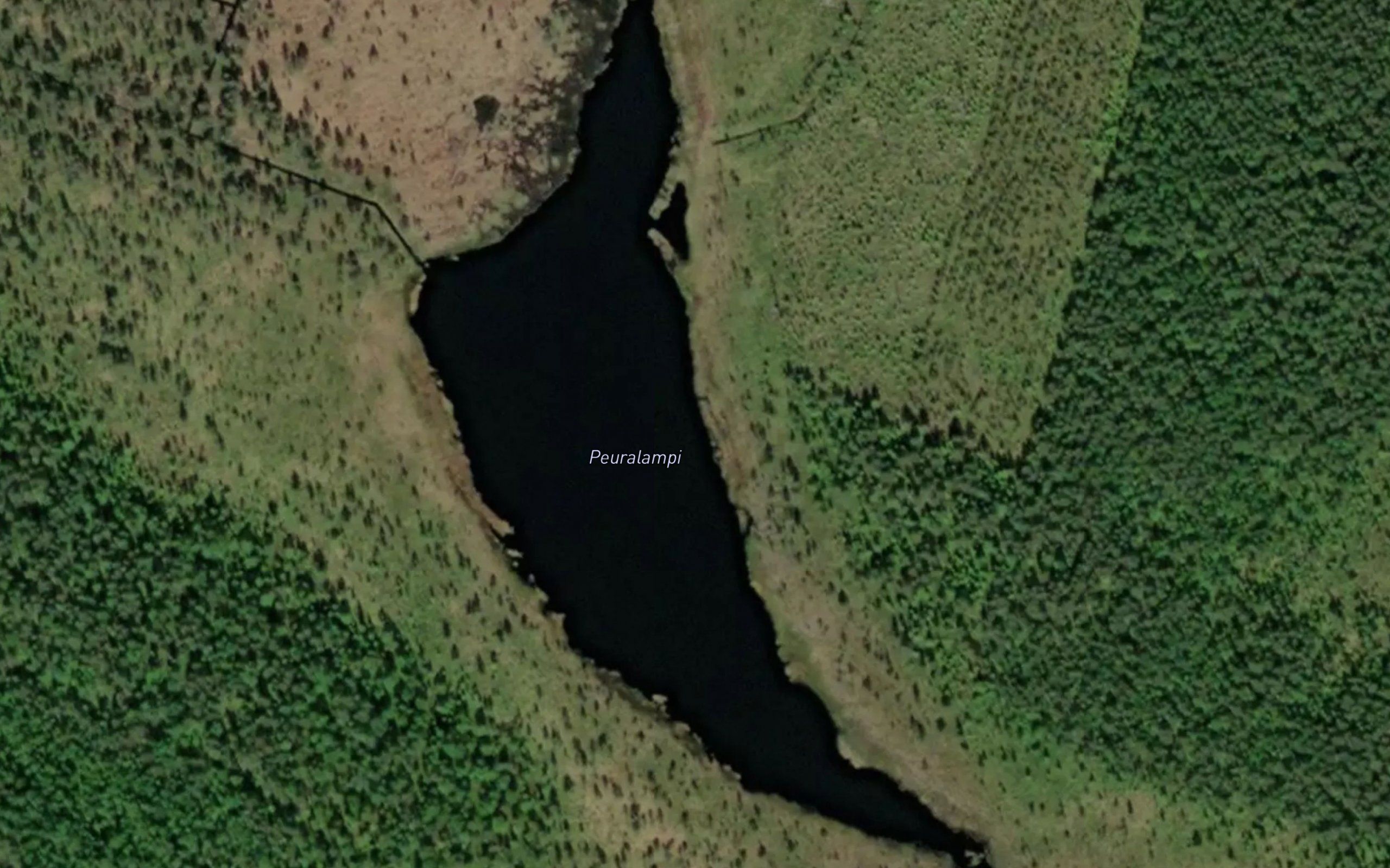 Peuralampi