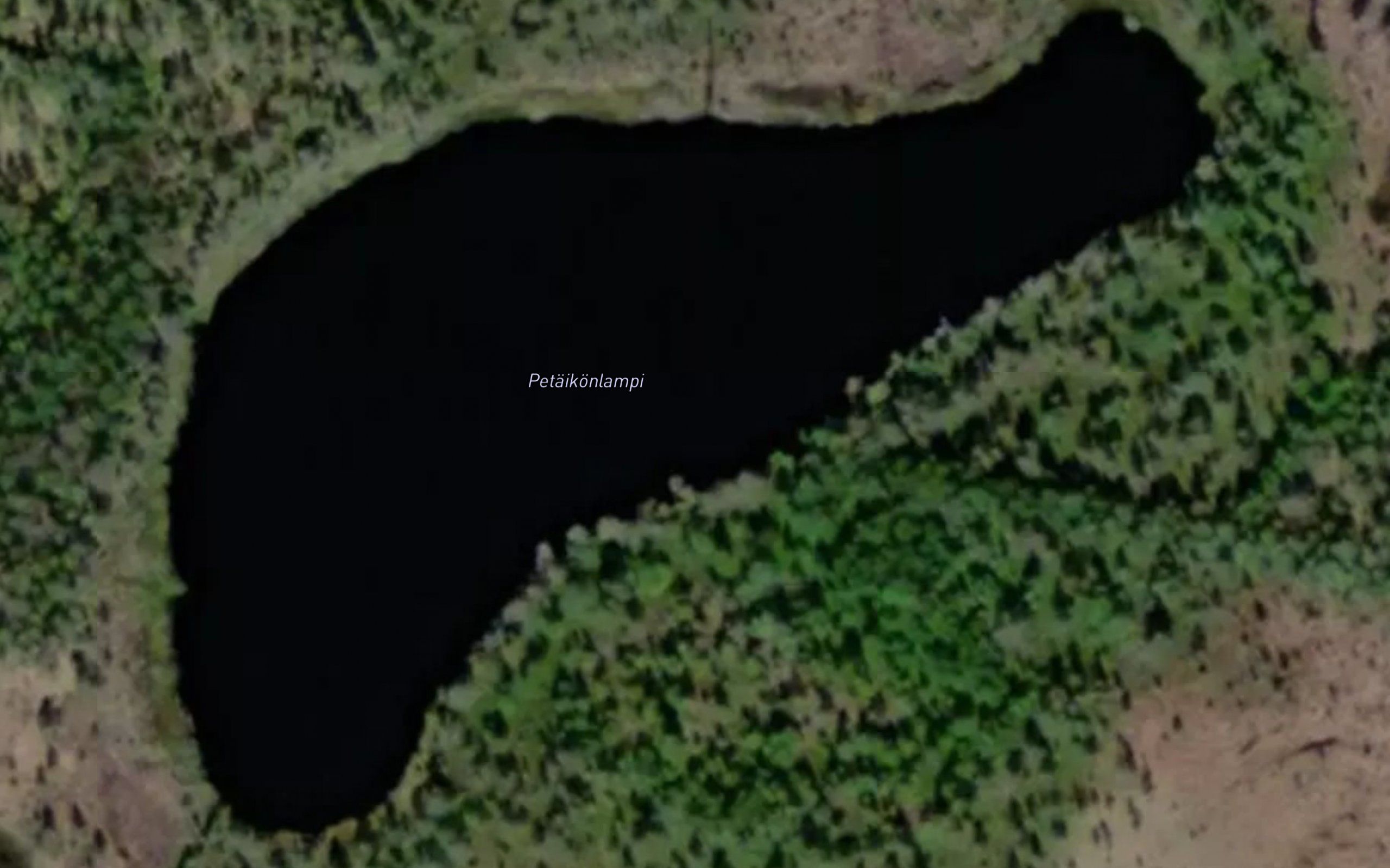 Petaikonlampi
