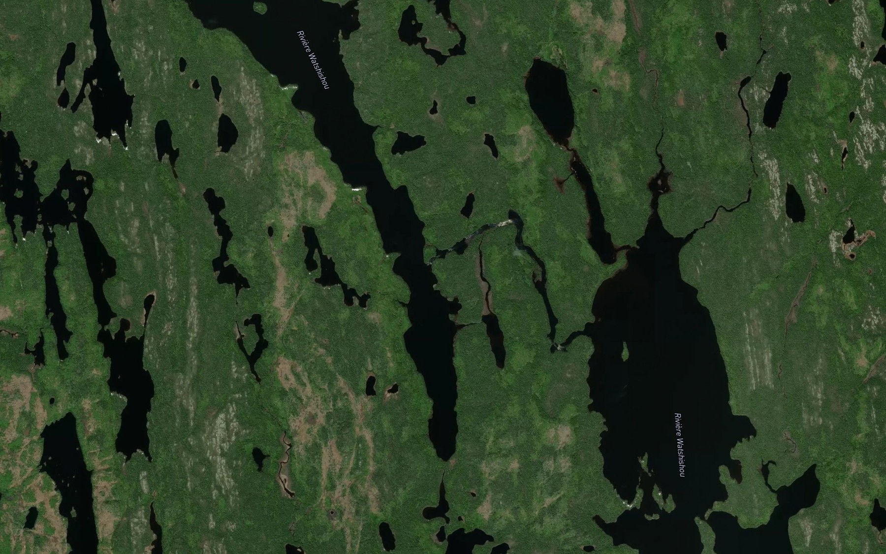 Satellite map of the Le Cinquante-Cinq