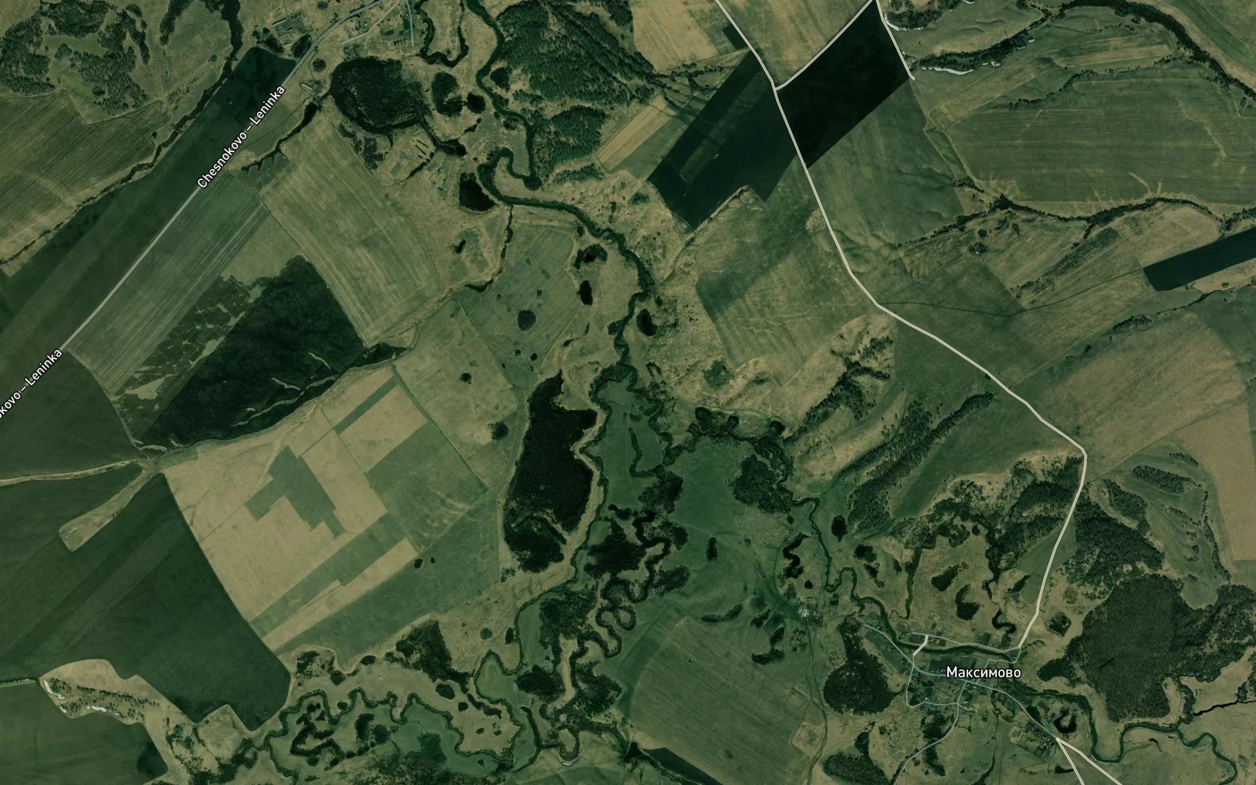 Satellite map of the Chesnokovka