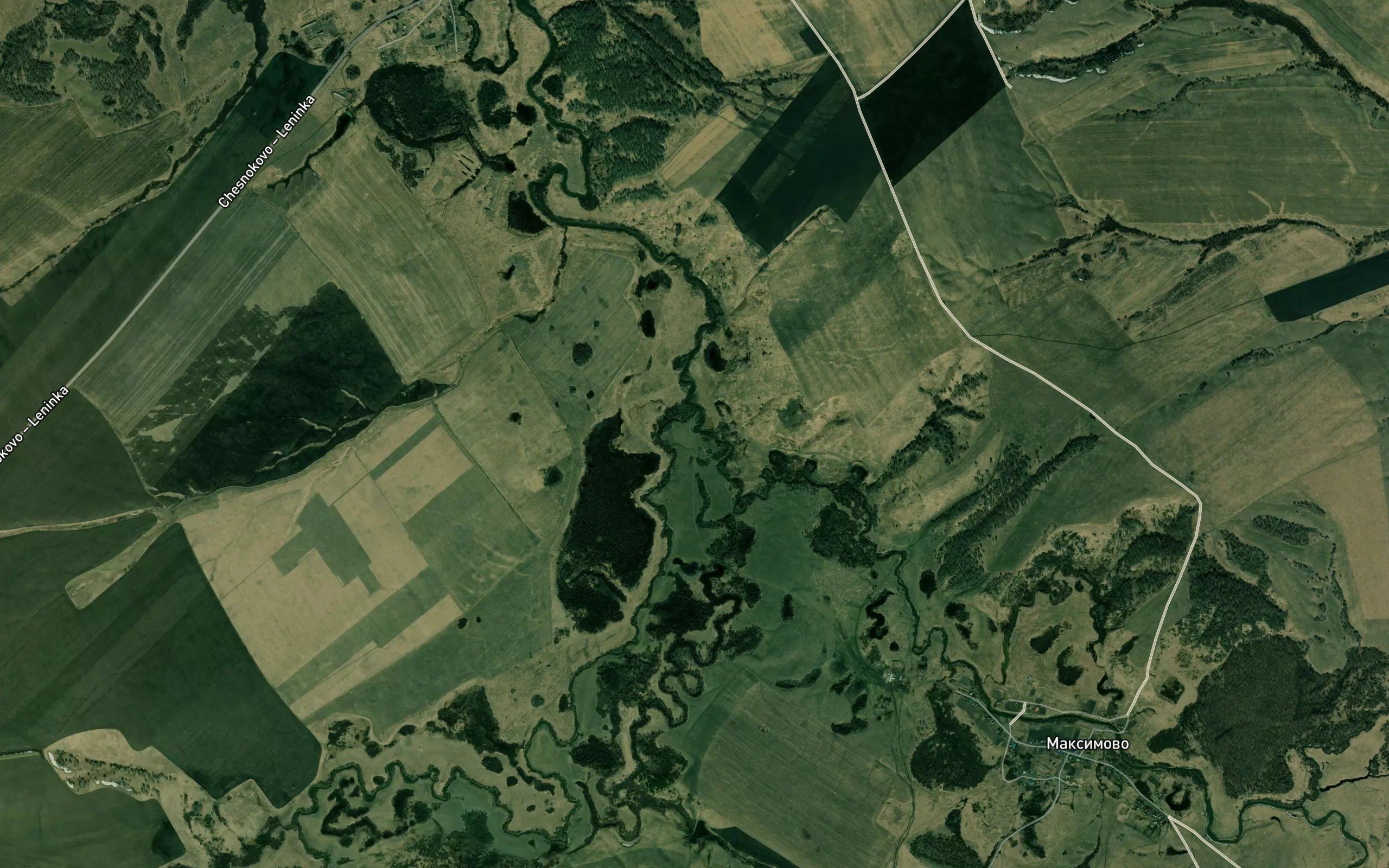 Chesnokovka