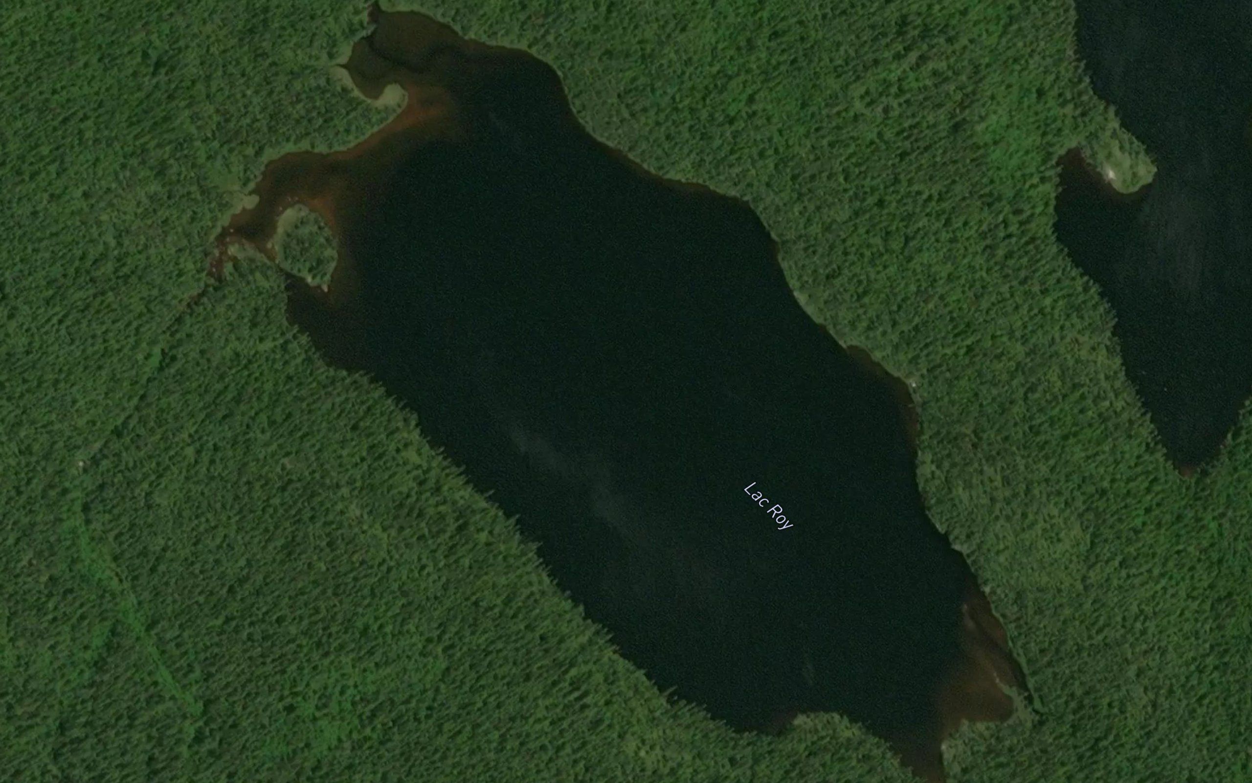 Lac Roy