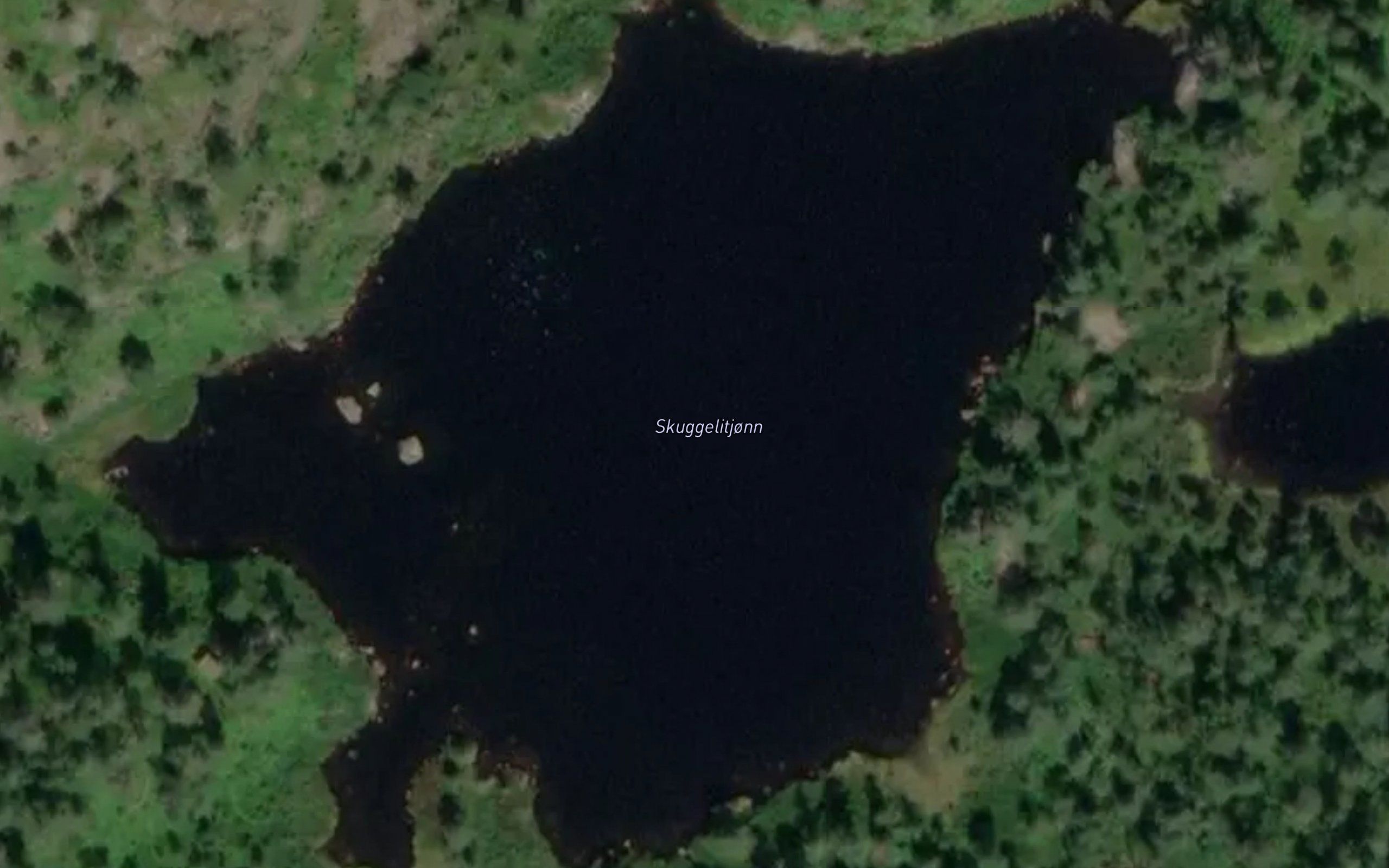 Skuggelitjonn