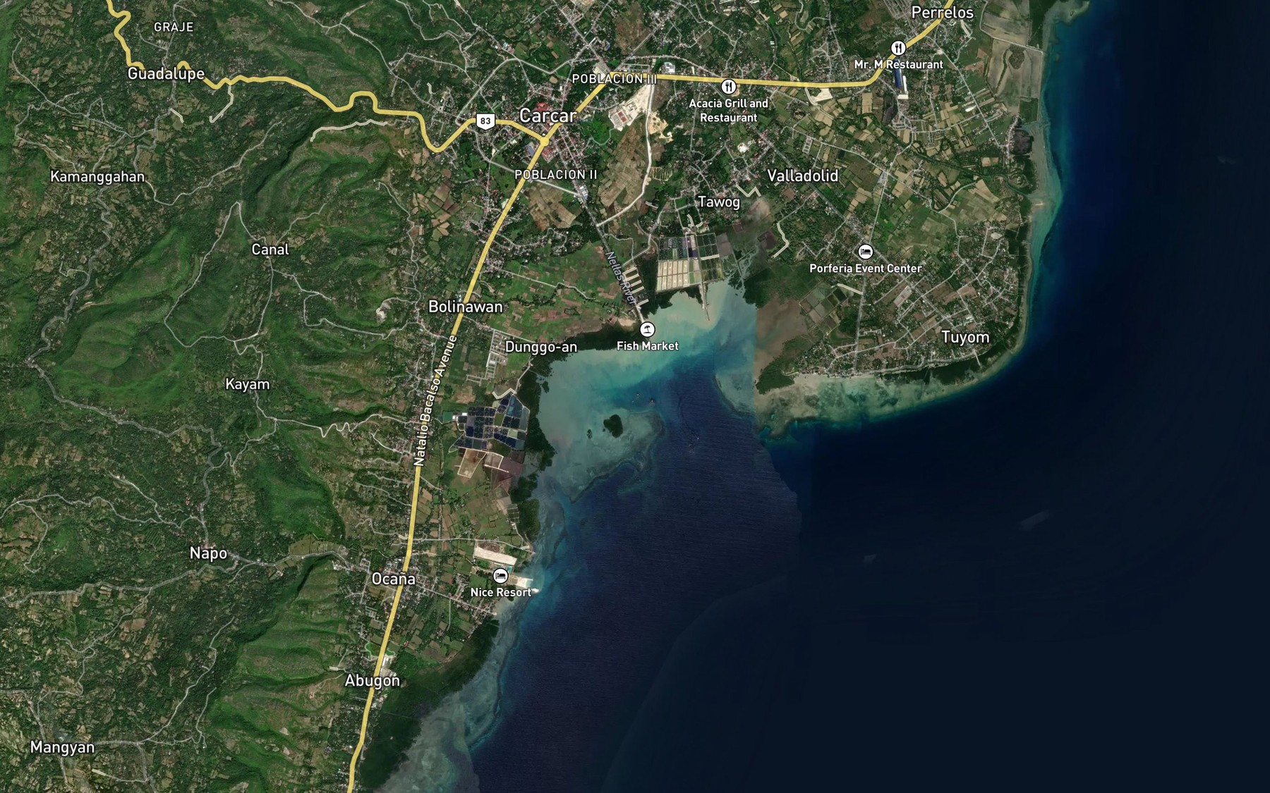 Satellite map of the Carcar Bay