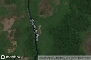 Bush Cow Long Corner