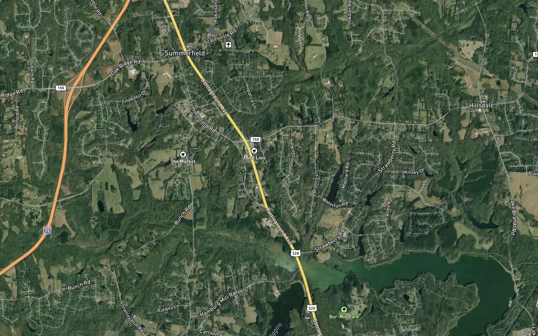 Satellite map of the Martin Lake