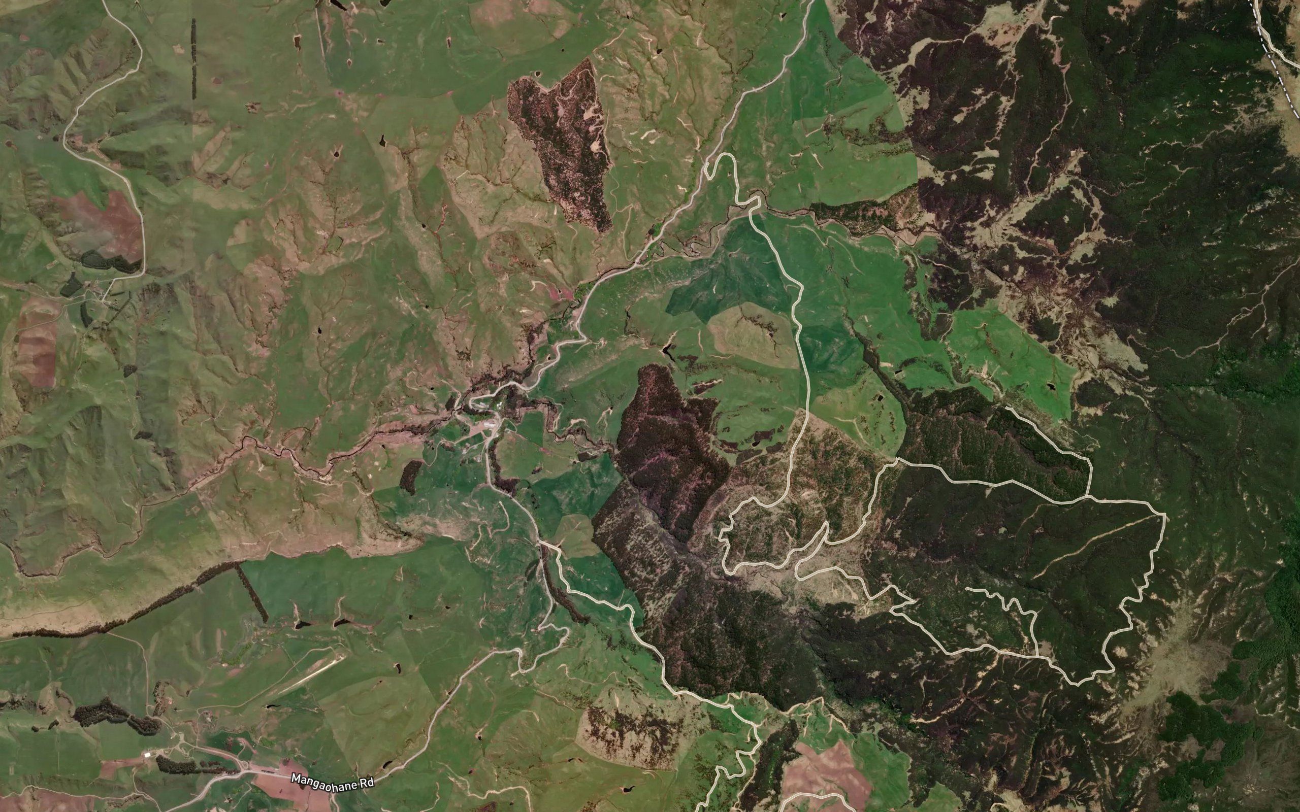 Wairehu Stream